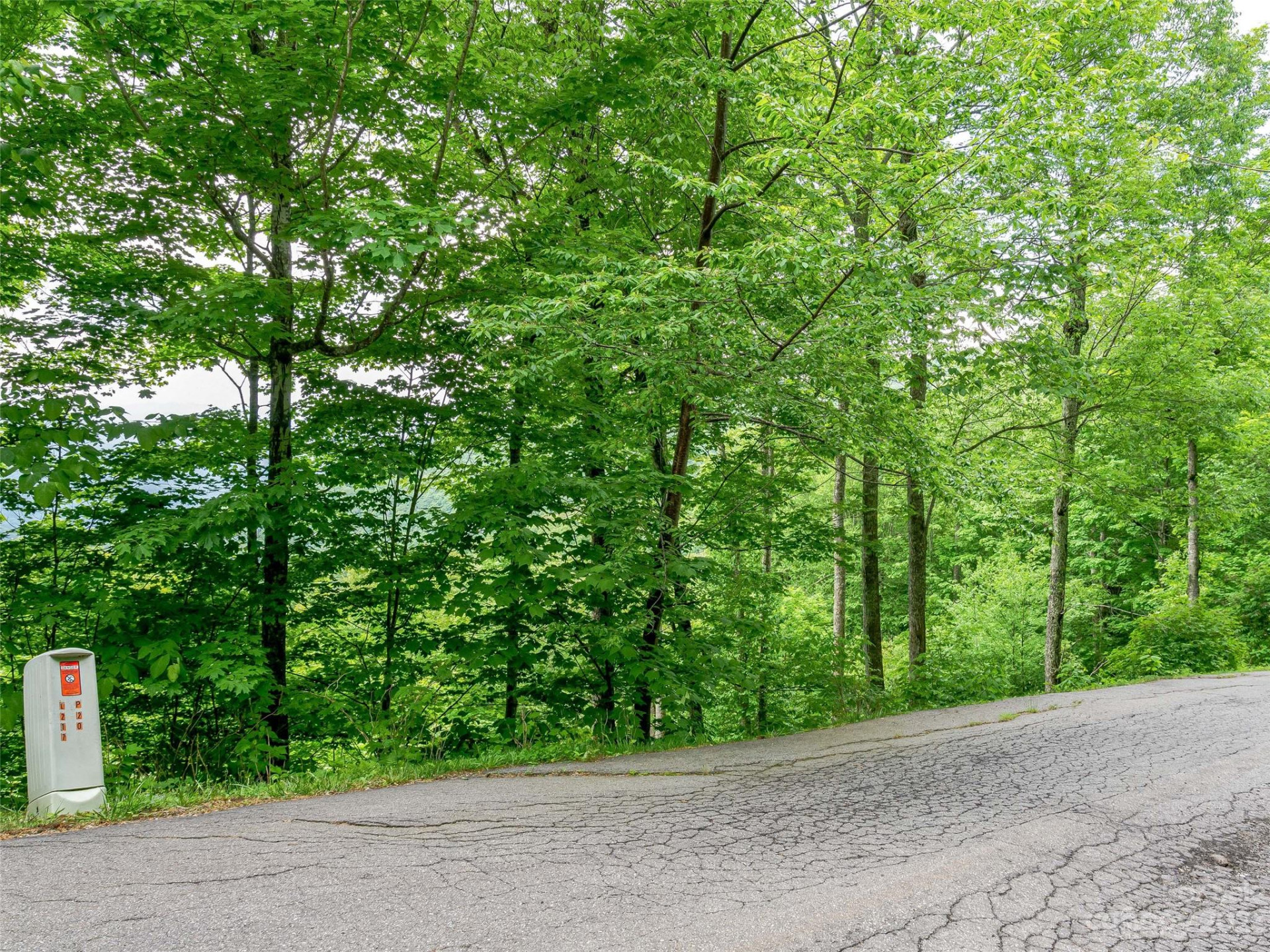 Lot 27 Black Bear Run - Photo 3