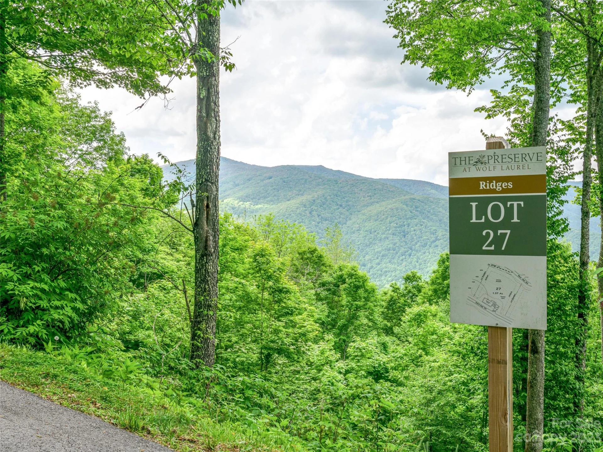 Lot 27 Black Bear Run - Photo 4