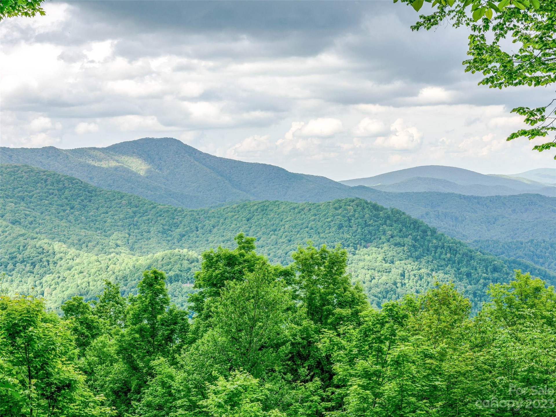 Lot 27 Black Bear Run - Photo 5