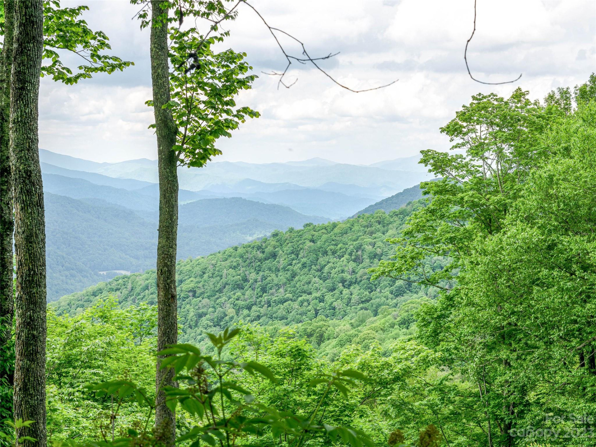 Lot 27 Black Bear Run - Photo 6