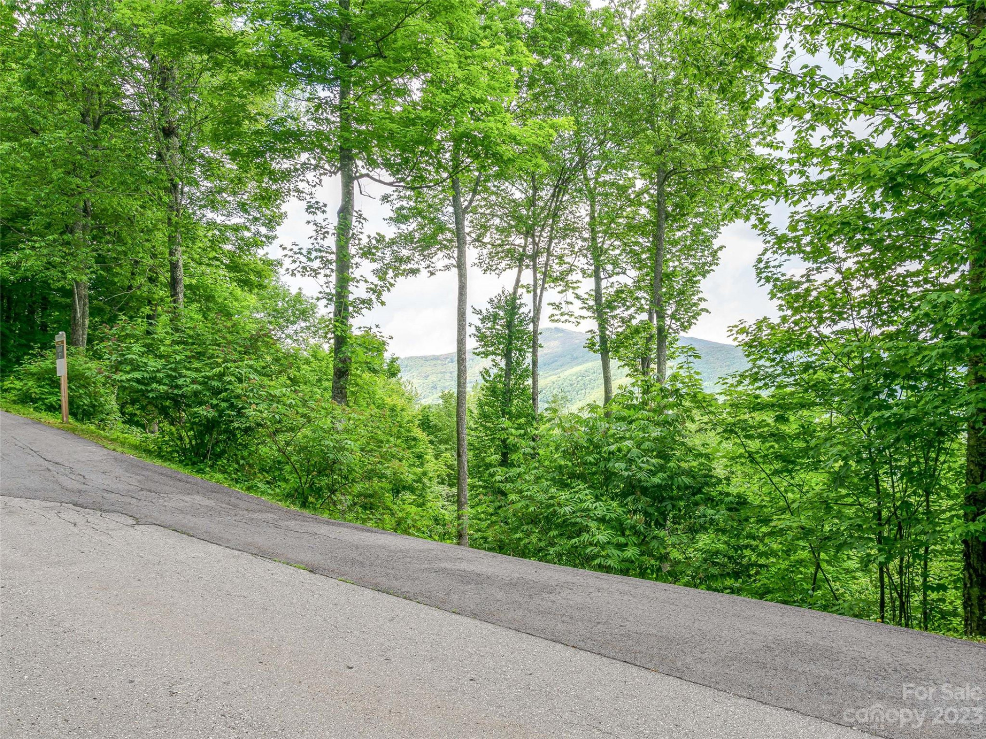 Lot 27 Black Bear Run - Photo 7