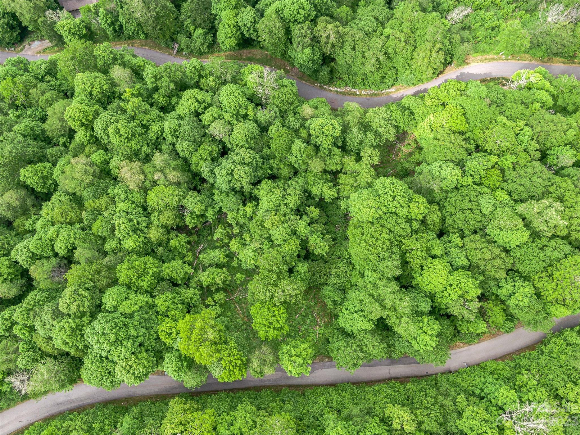 Lot 27 Black Bear Run - Photo 8