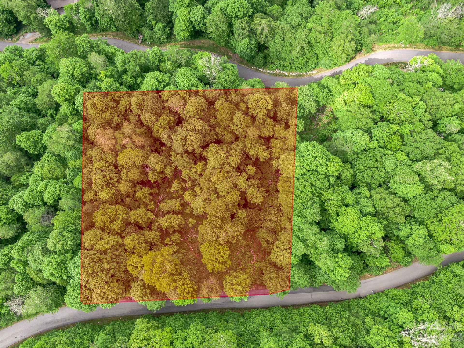 Lot 27 Black Bear Run - Photo 9