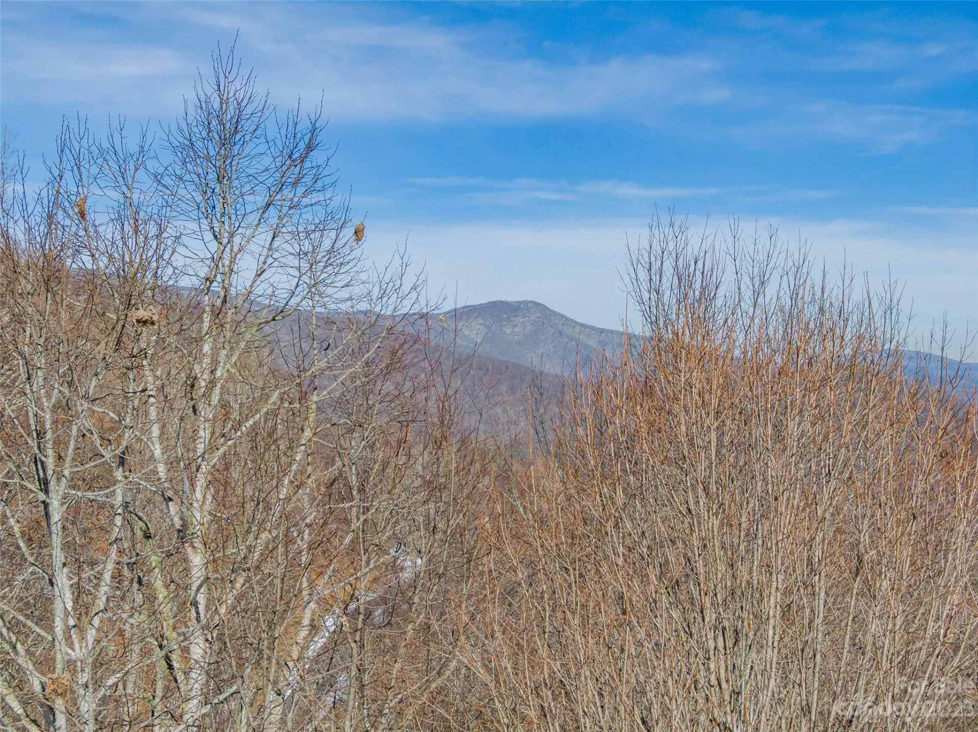 Lot 43 Black Bear Run - Photo 2