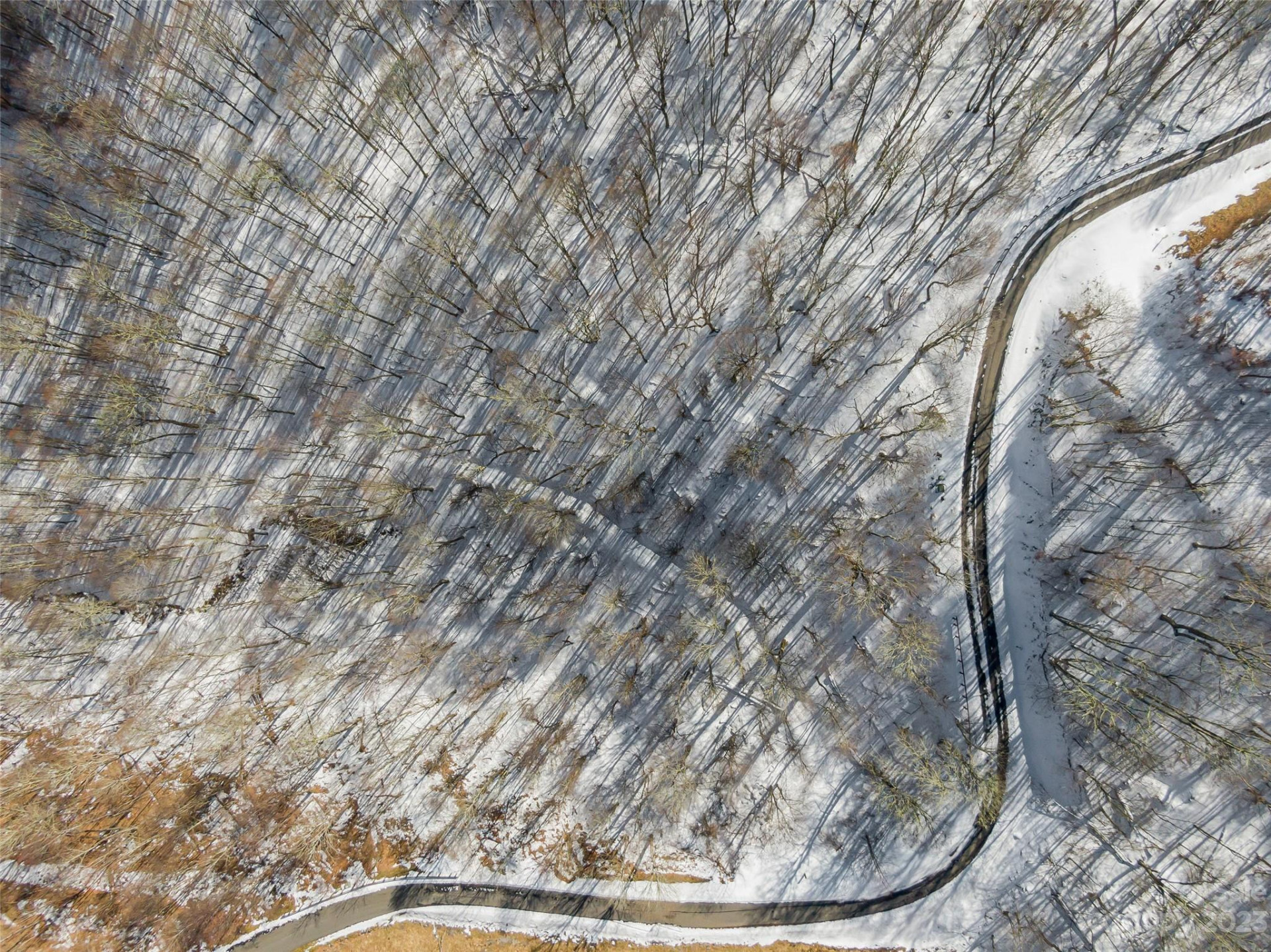 Lot 43 Black Bear Run - Photo 3