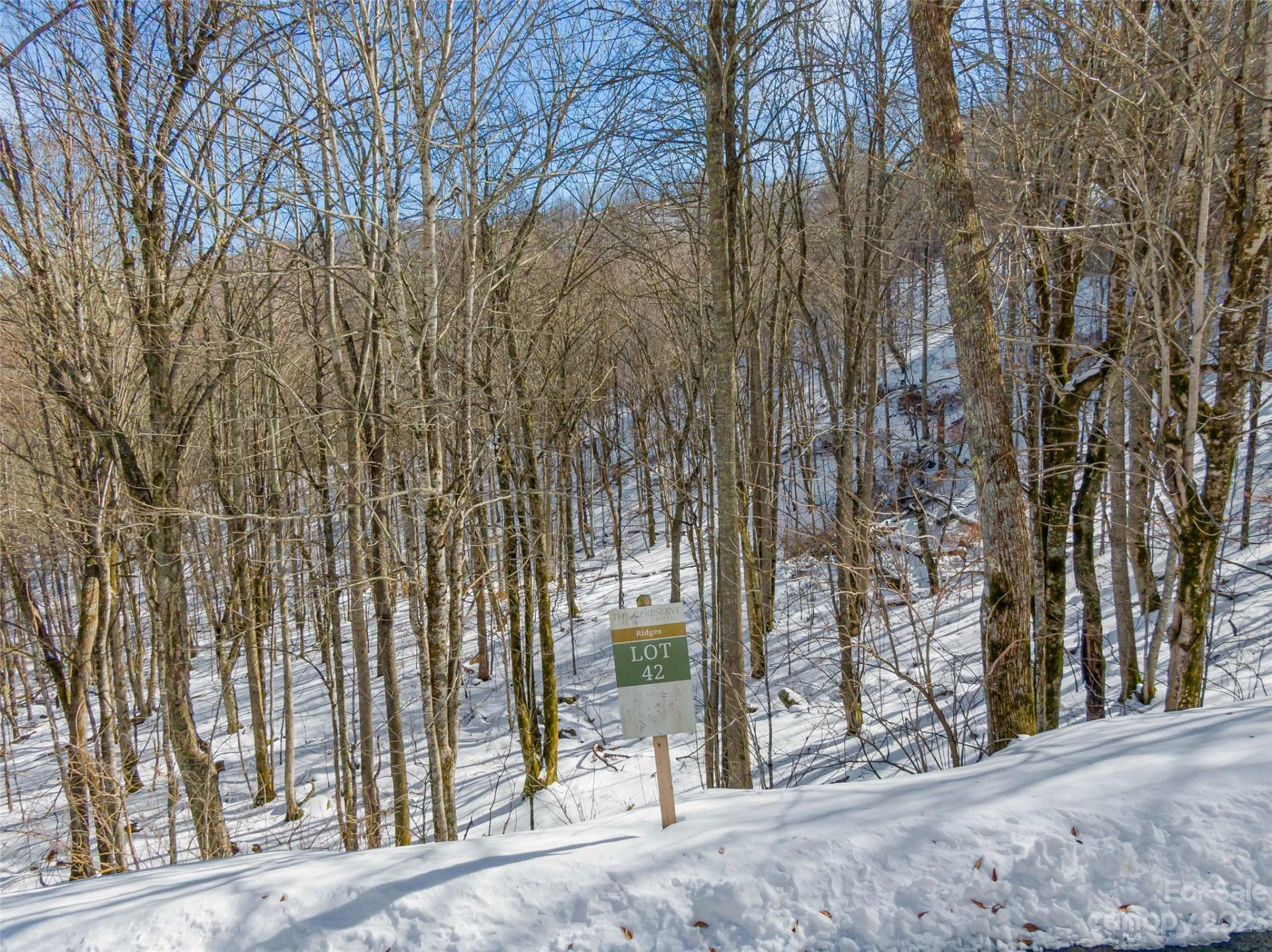 Lot 42 Black Bear Run