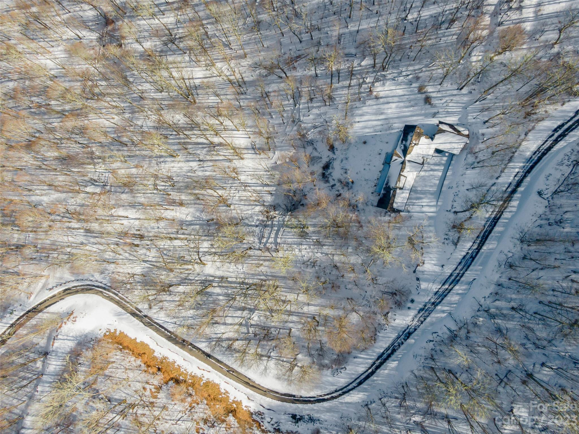 Lot 42 Black Bear Run - Photo 2