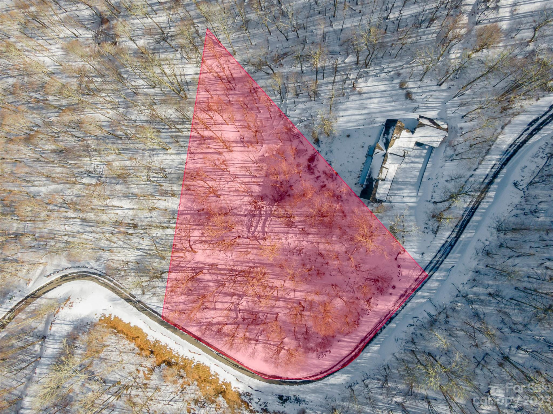 Lot 42 Black Bear Run - Photo 3