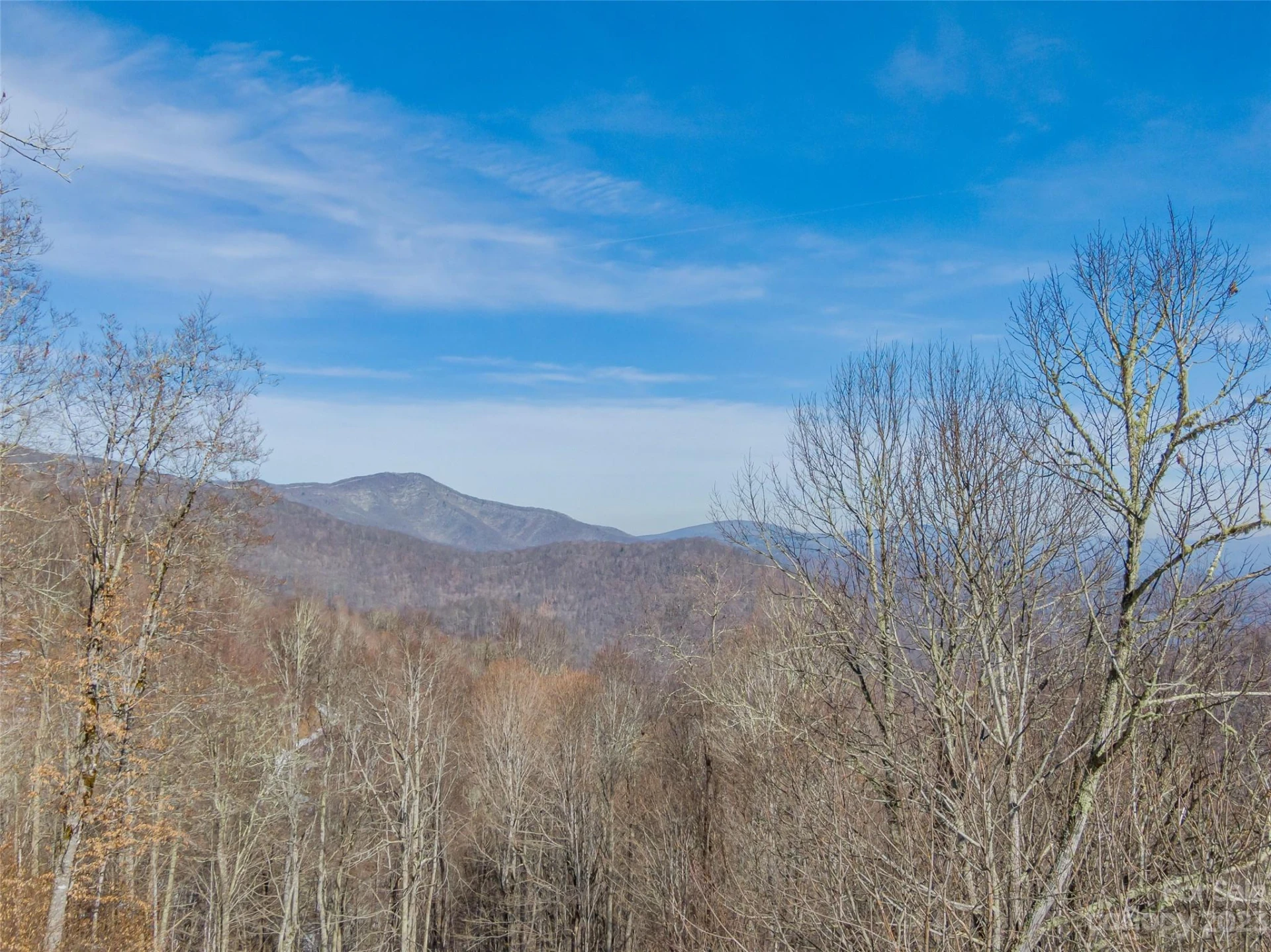 Lot 42 Black Bear Run - Photo 5