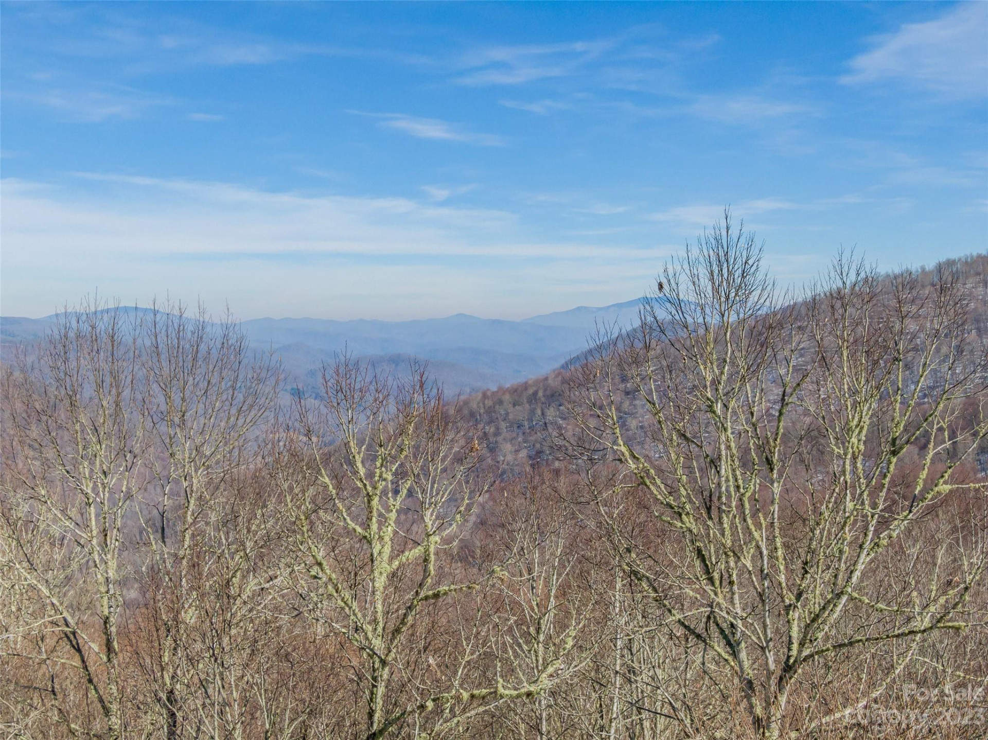 Lot 42 Black Bear Run - Photo 6