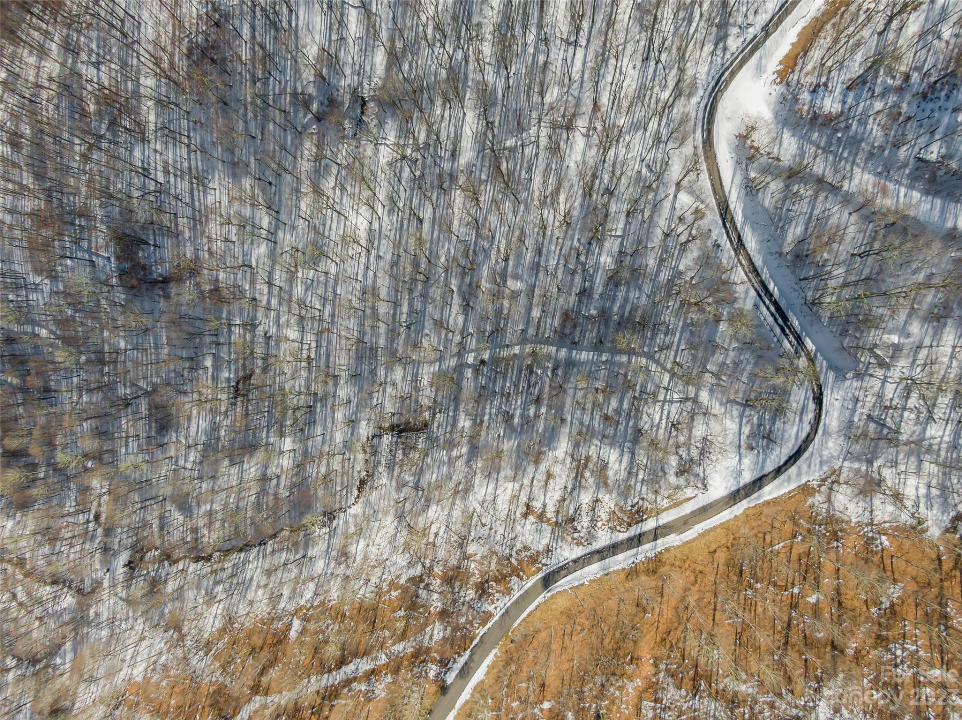 Lot 44 Black Bear Run - Photo 2