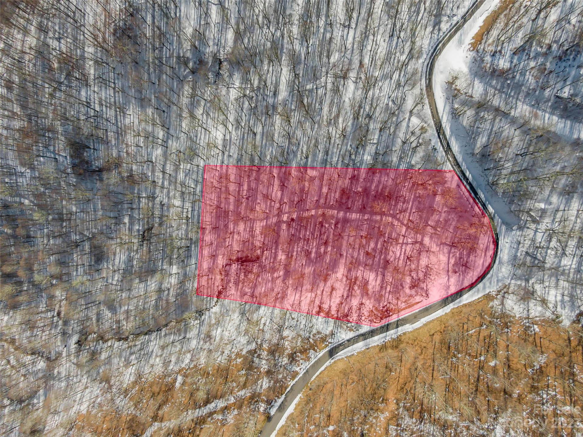 Lot 44 Black Bear Run - Photo 3