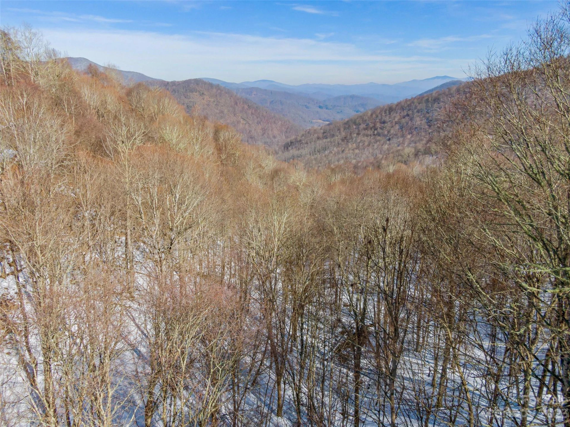 Lot 44 Black Bear Run - Photo 6