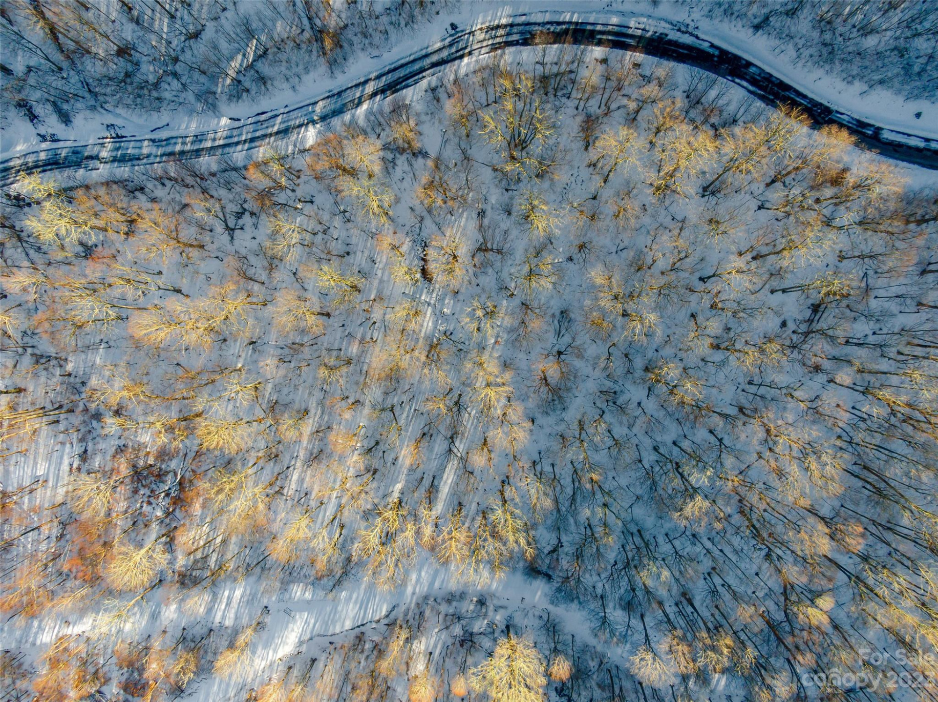 Lot 15 Mountain Gait Drive - Photo 2