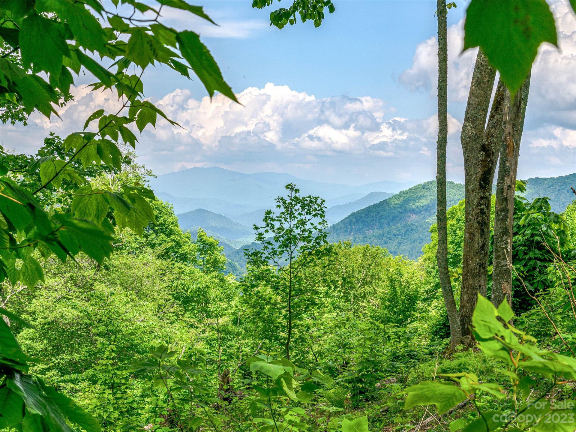 Lot 9 Mountain Gait Drive - Photo 11