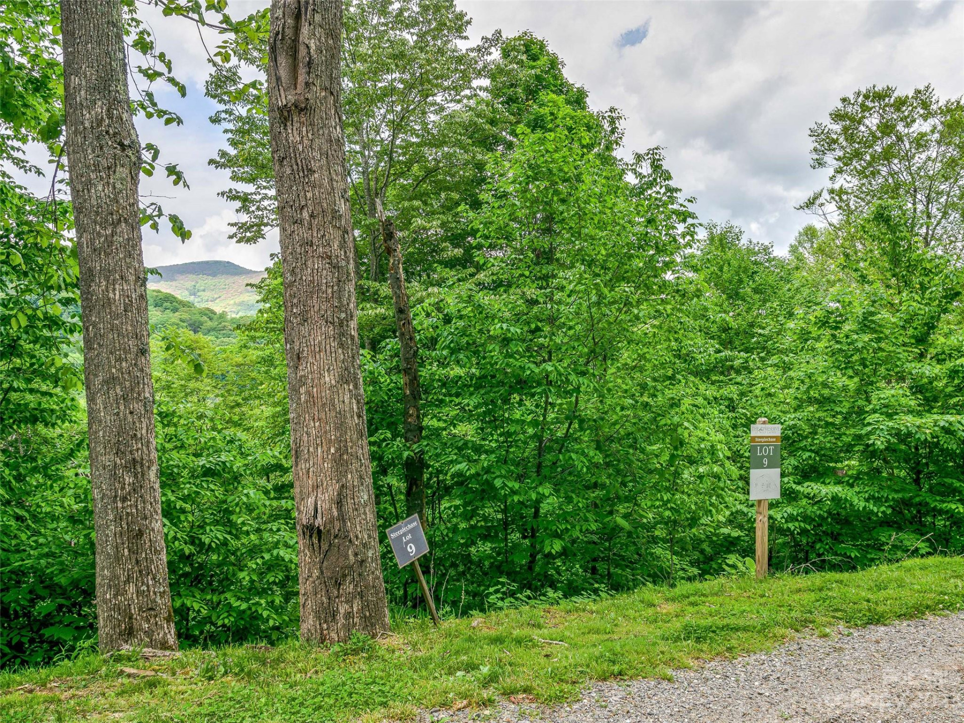 Lot 9 Mountain Gait Drive - Photo 12