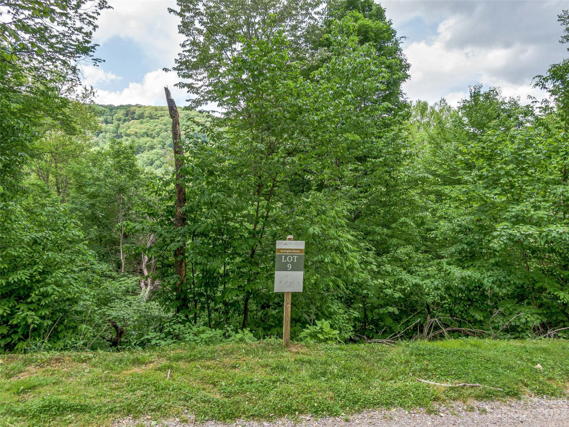 Lot 9 Mountain Gait Drive - Photo 15