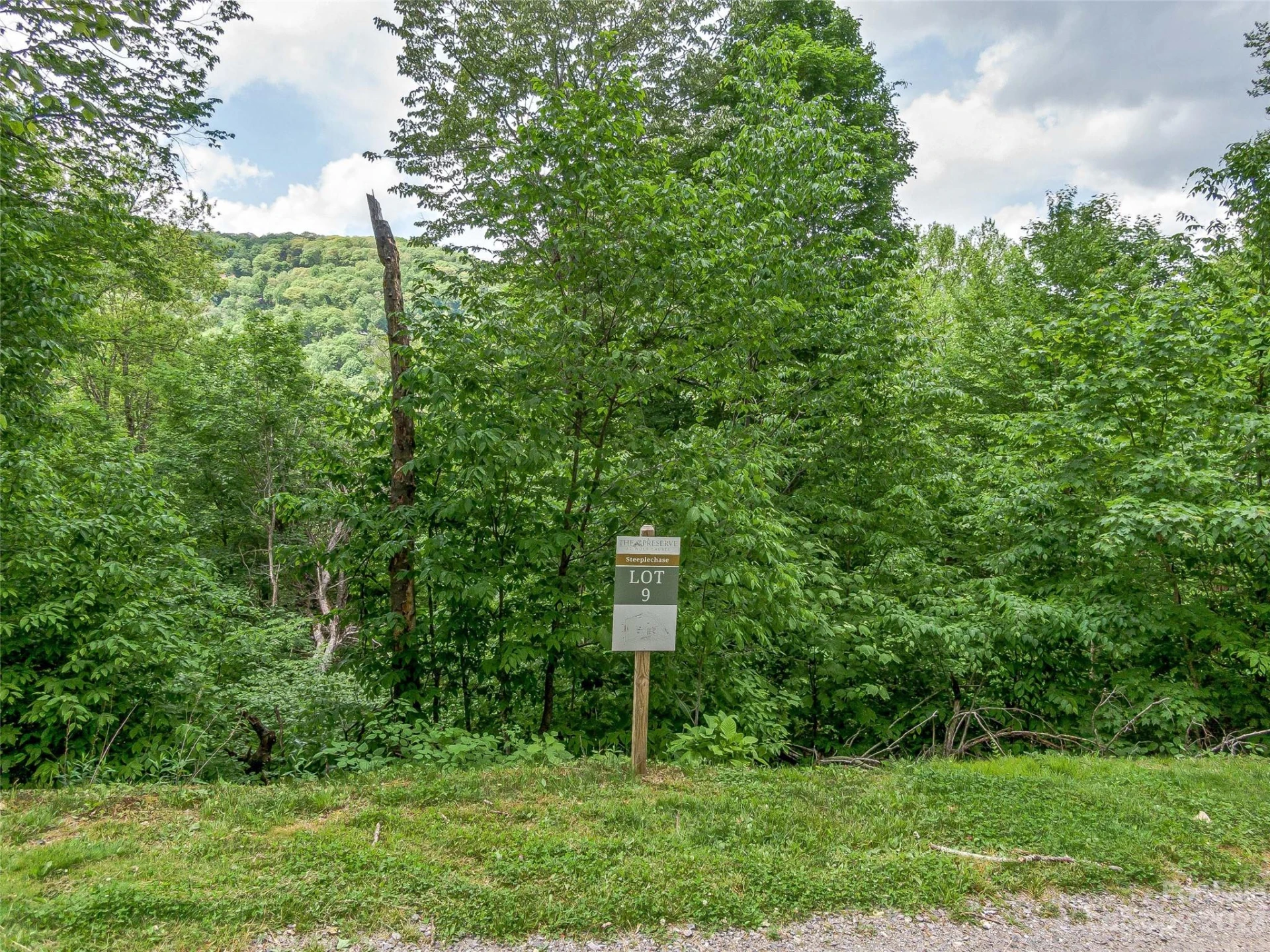 Lot 9 Mountain Gait Drive - Photo 15