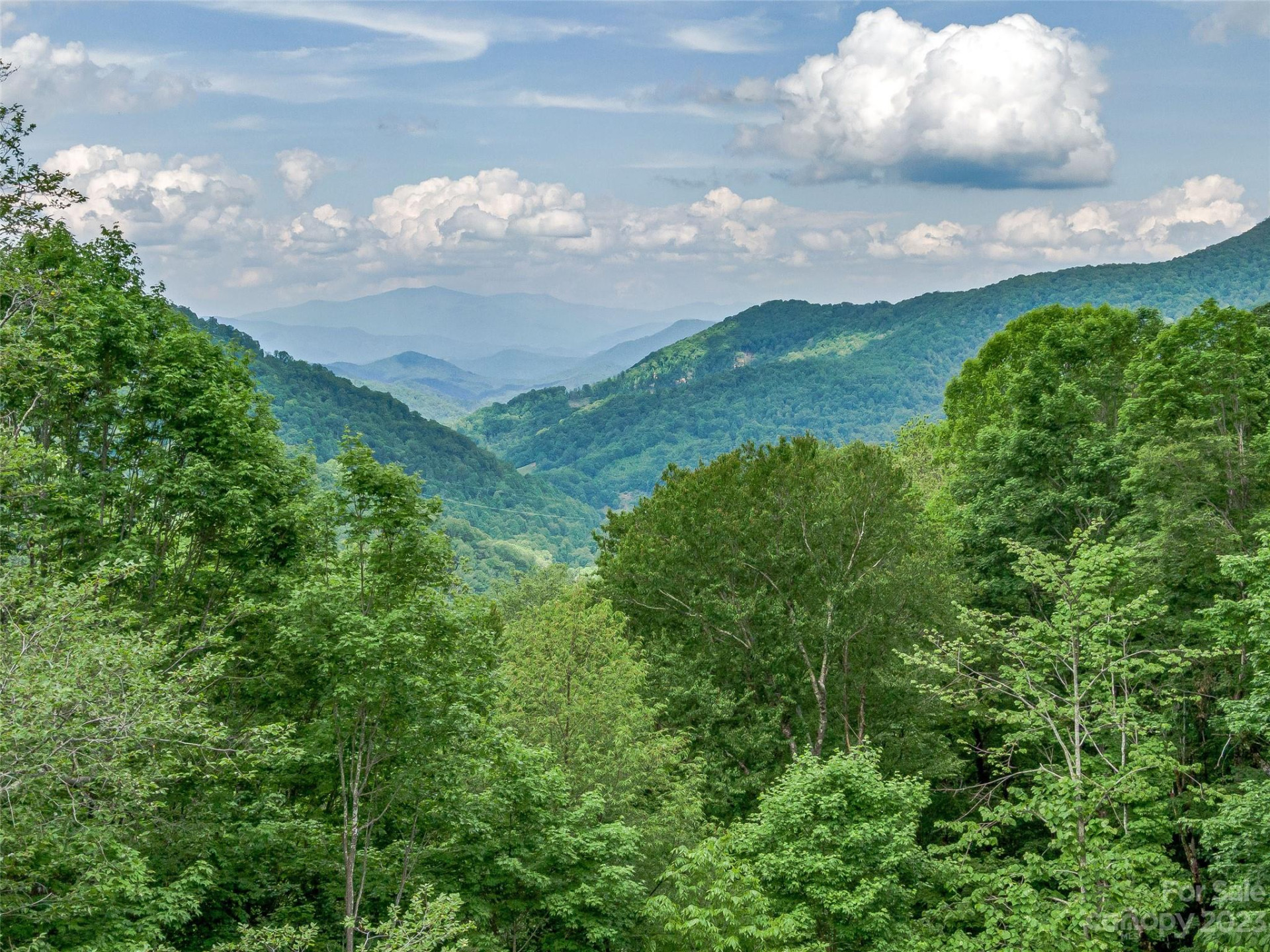 Lot 9 Mountain Gait Drive - Photo 21