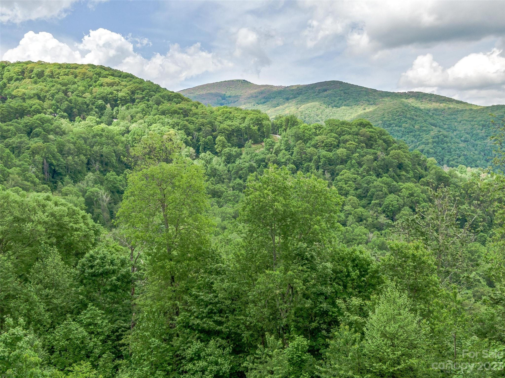 Lot 9 Mountain Gait Drive - Photo 22