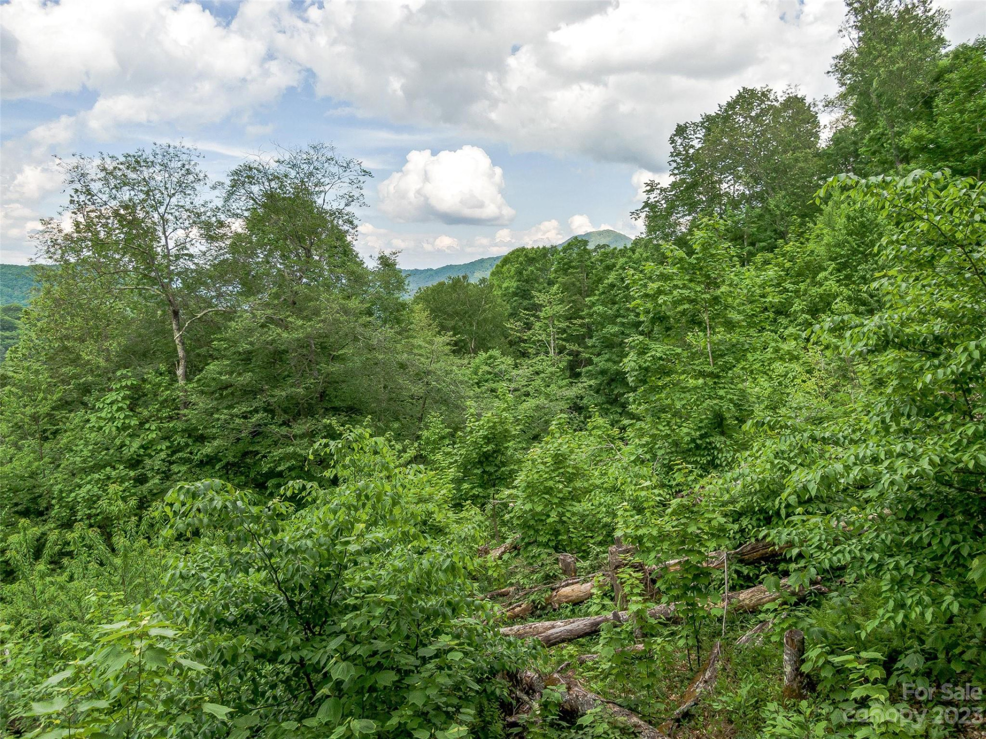 Lot 9 Mountain Gait Drive - Photo 23