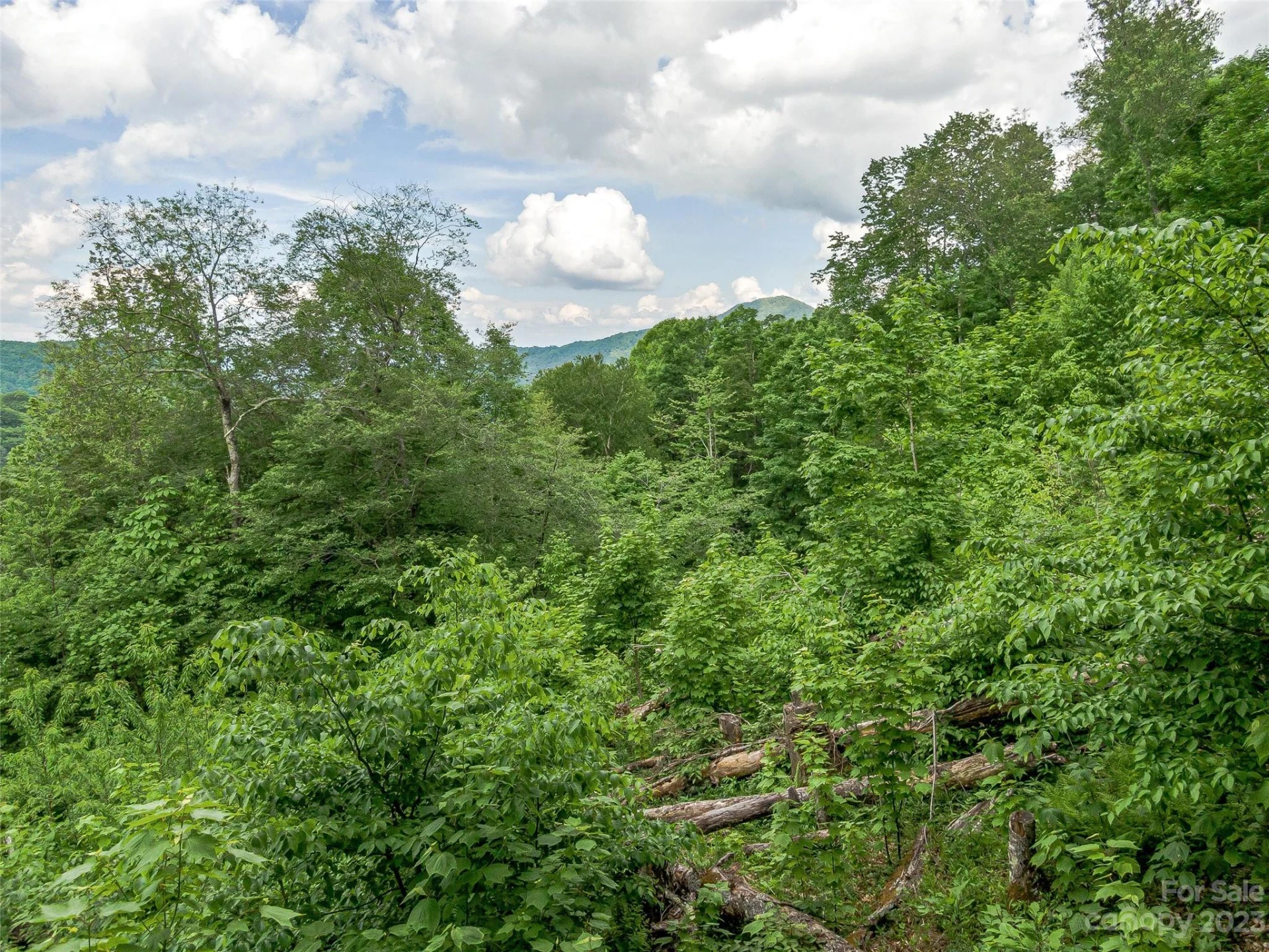 Lot 9 Mountain Gait Drive - Photo 23