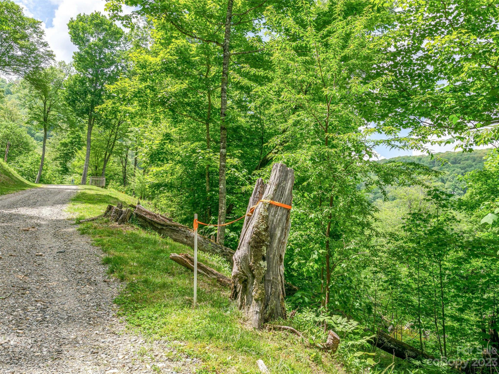 Lot 9 Mountain Gait Drive - Photo 5