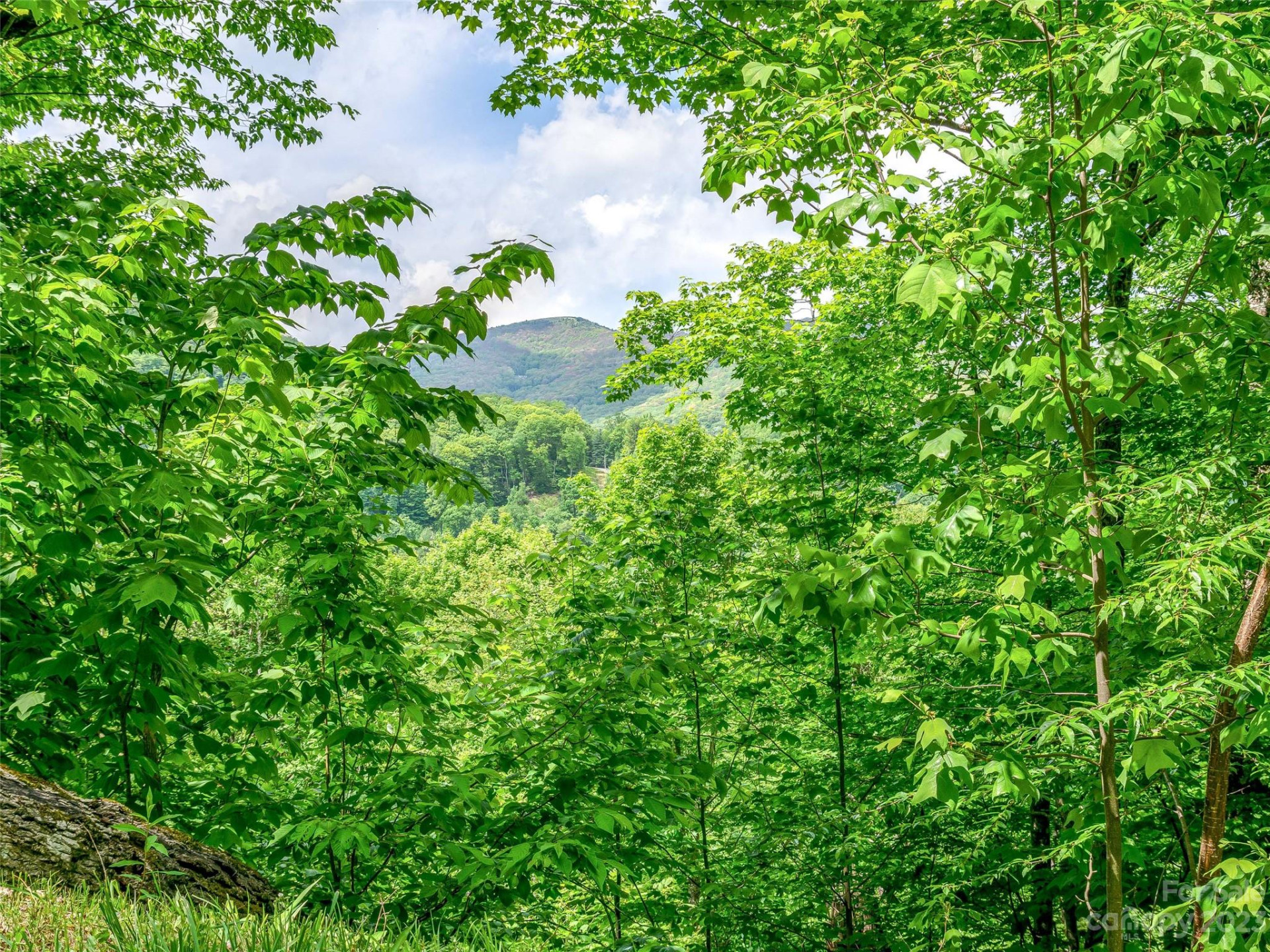 Lot 9 Mountain Gait Drive - Photo 6