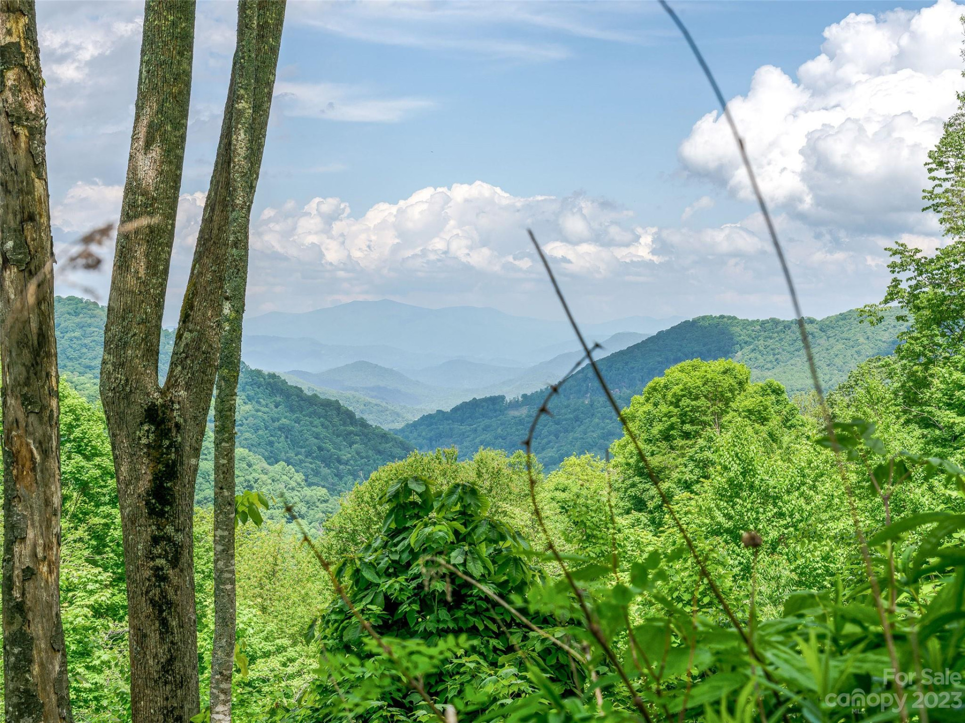 Lot 9 Mountain Gait Drive - Photo 9