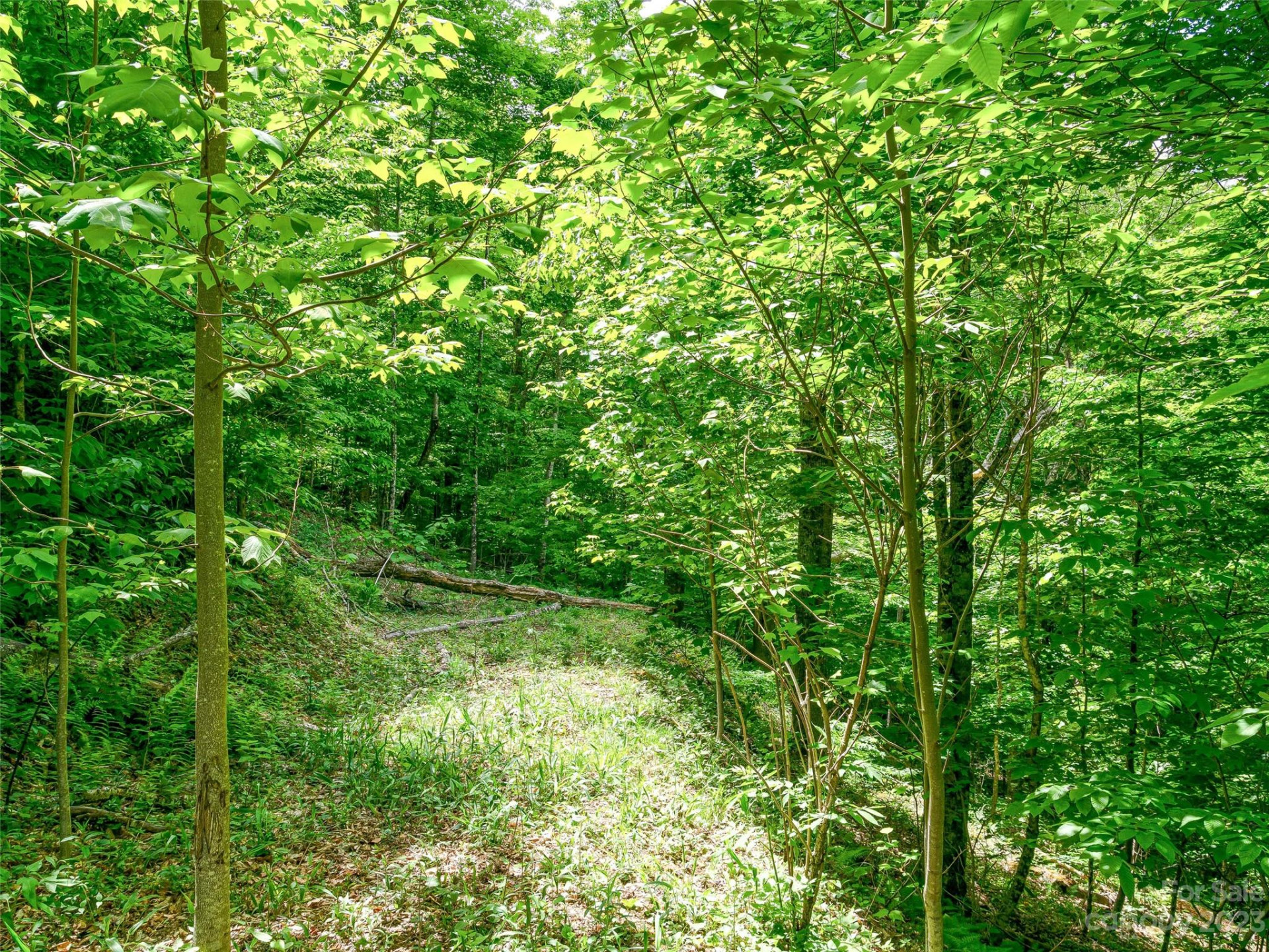 Lot 9 Mountain Gait Drive - Photo 10