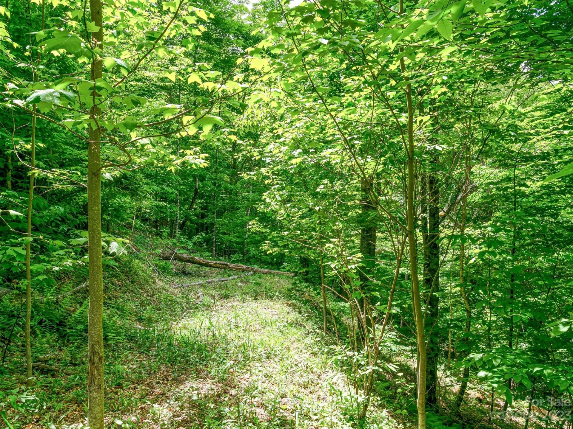 Lot 9 Mountain Gait Drive - Photo 10