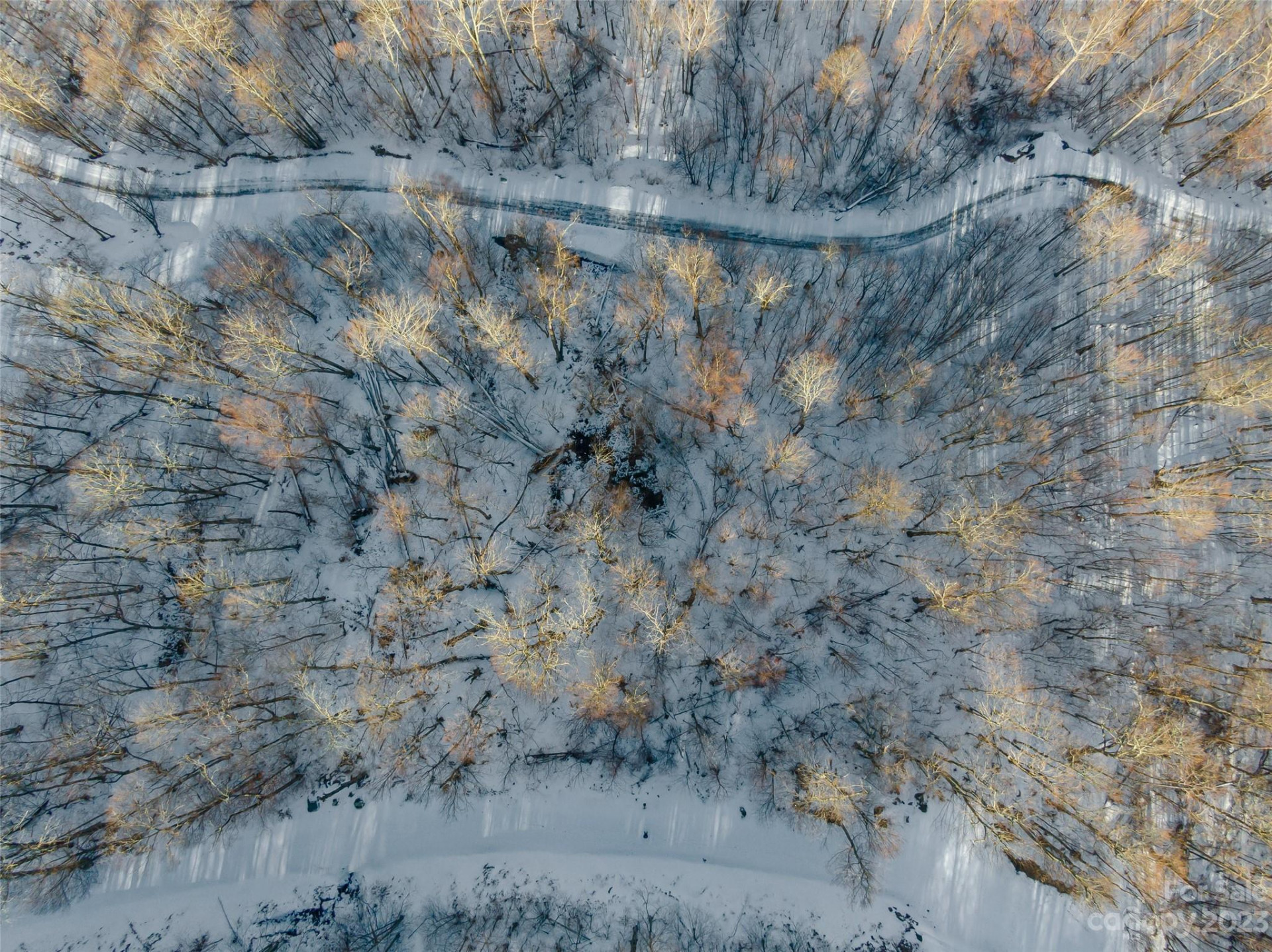 Lot 3 Mountain Gait Drive - Photo 2