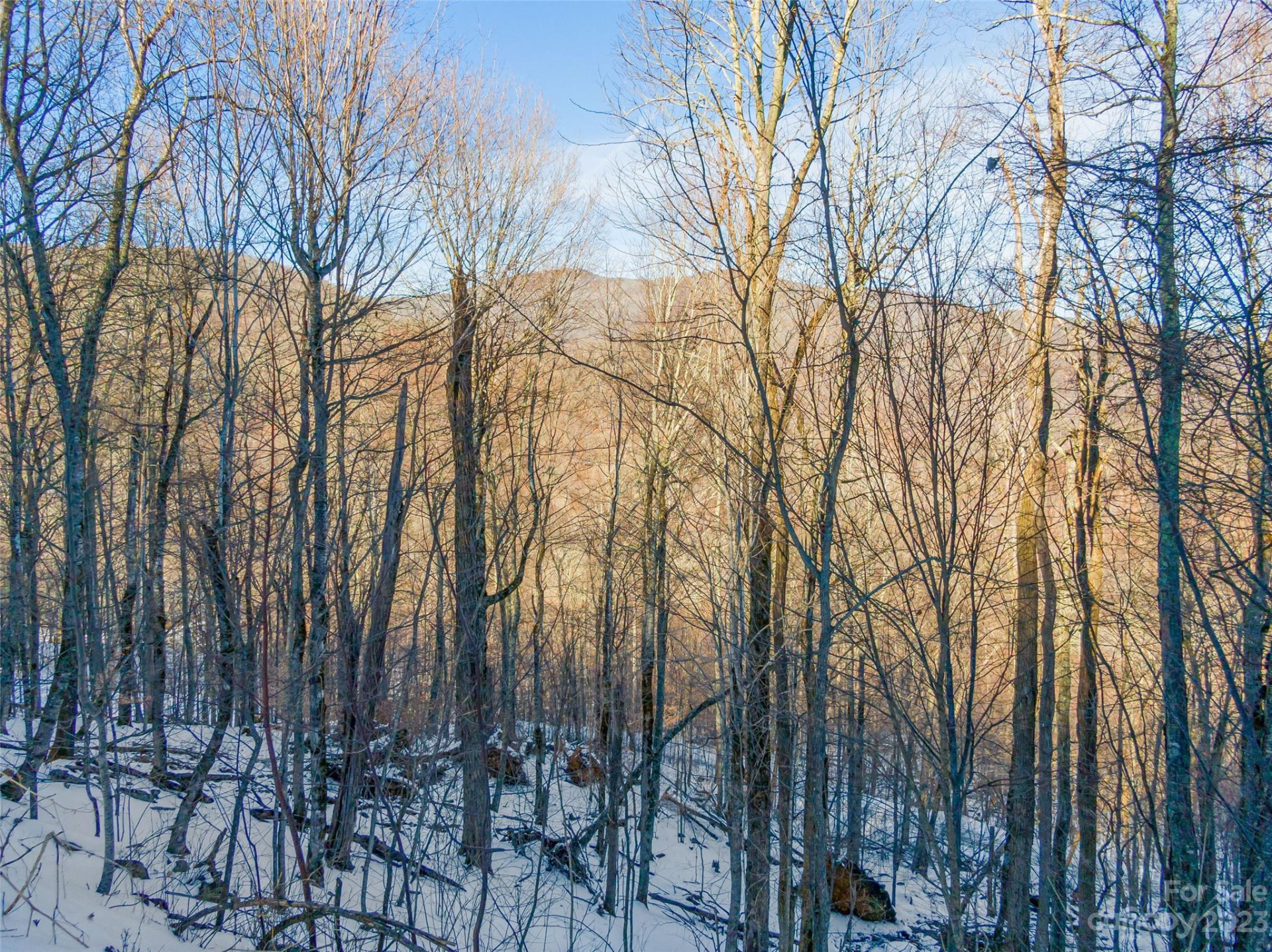 Lot 3 Mountain Gait Drive - Photo 6