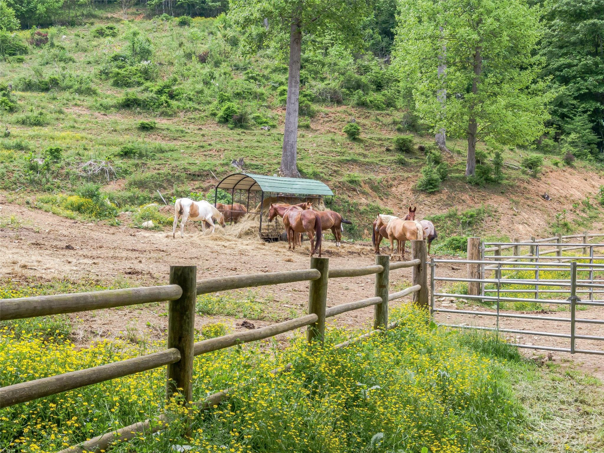 Lot 1 Mountain Gait Drive - Photo 12