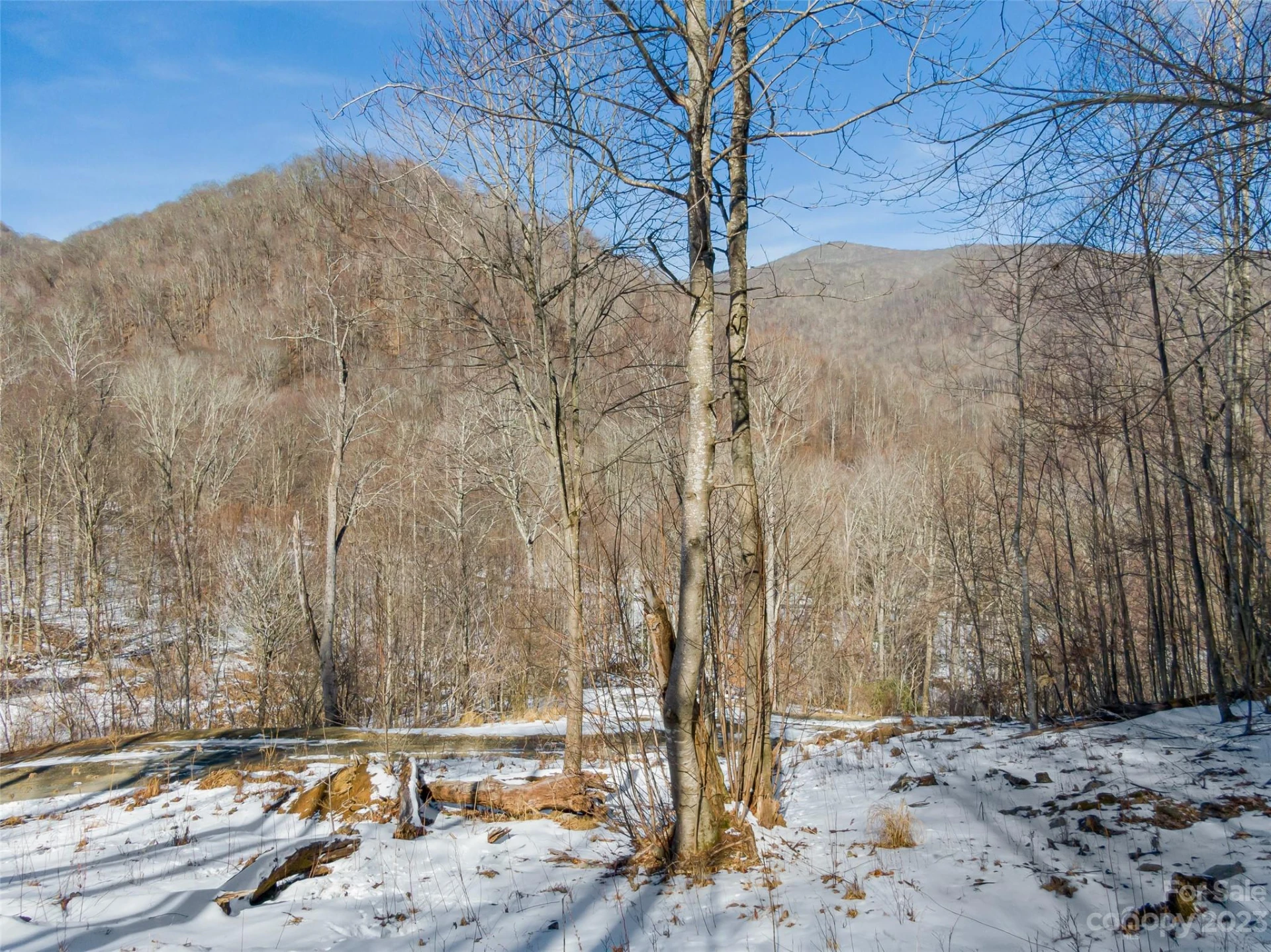 Lot 6 Settlement Way - Photo 5