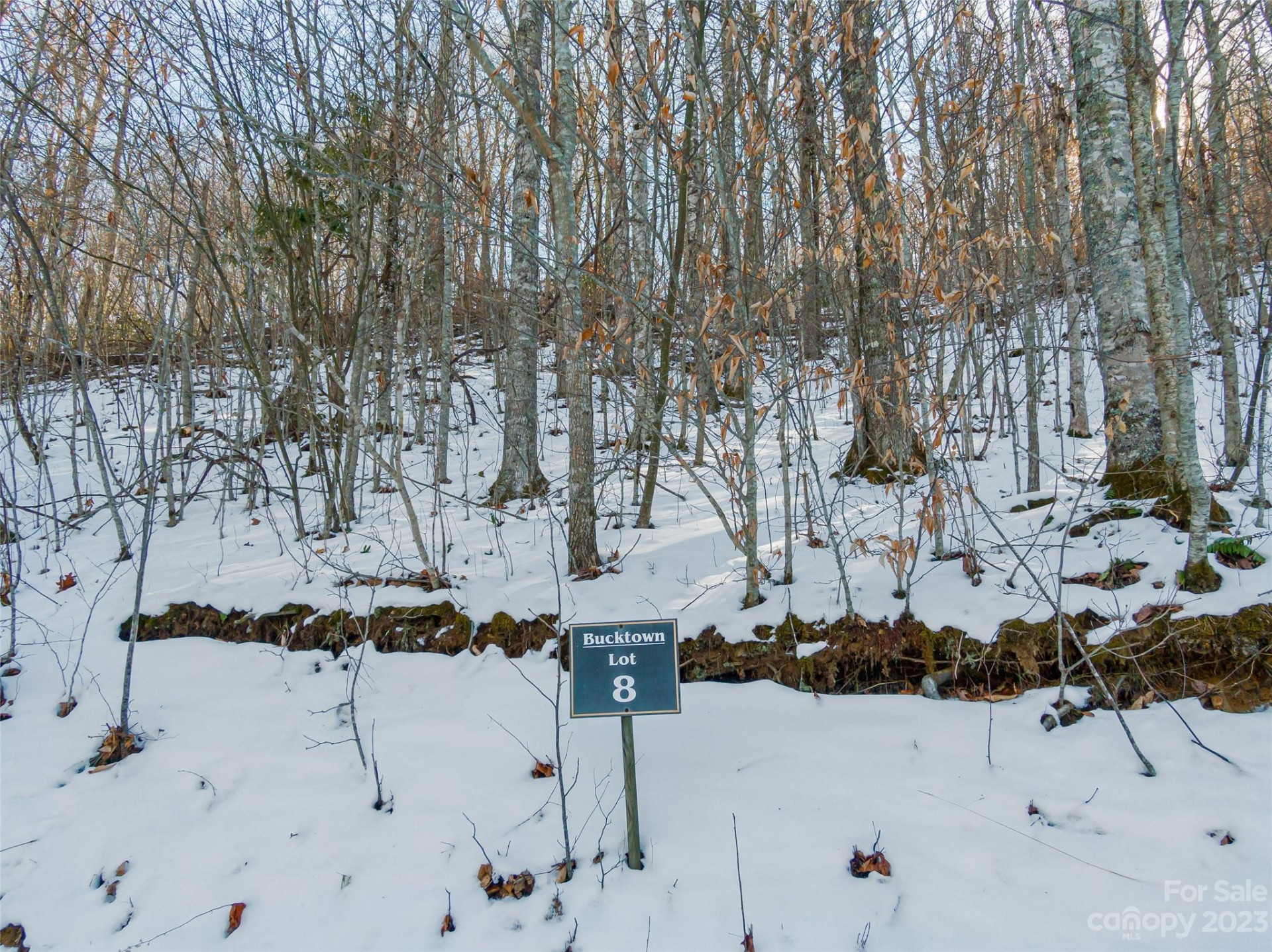 Lot 8 Settlement Way - Photo 2