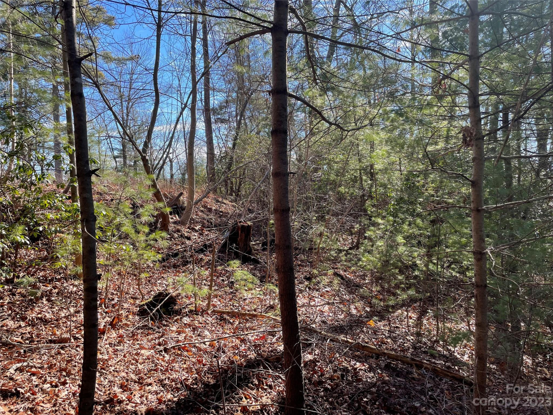 00 Willow Run Lane #12 - Photo 2