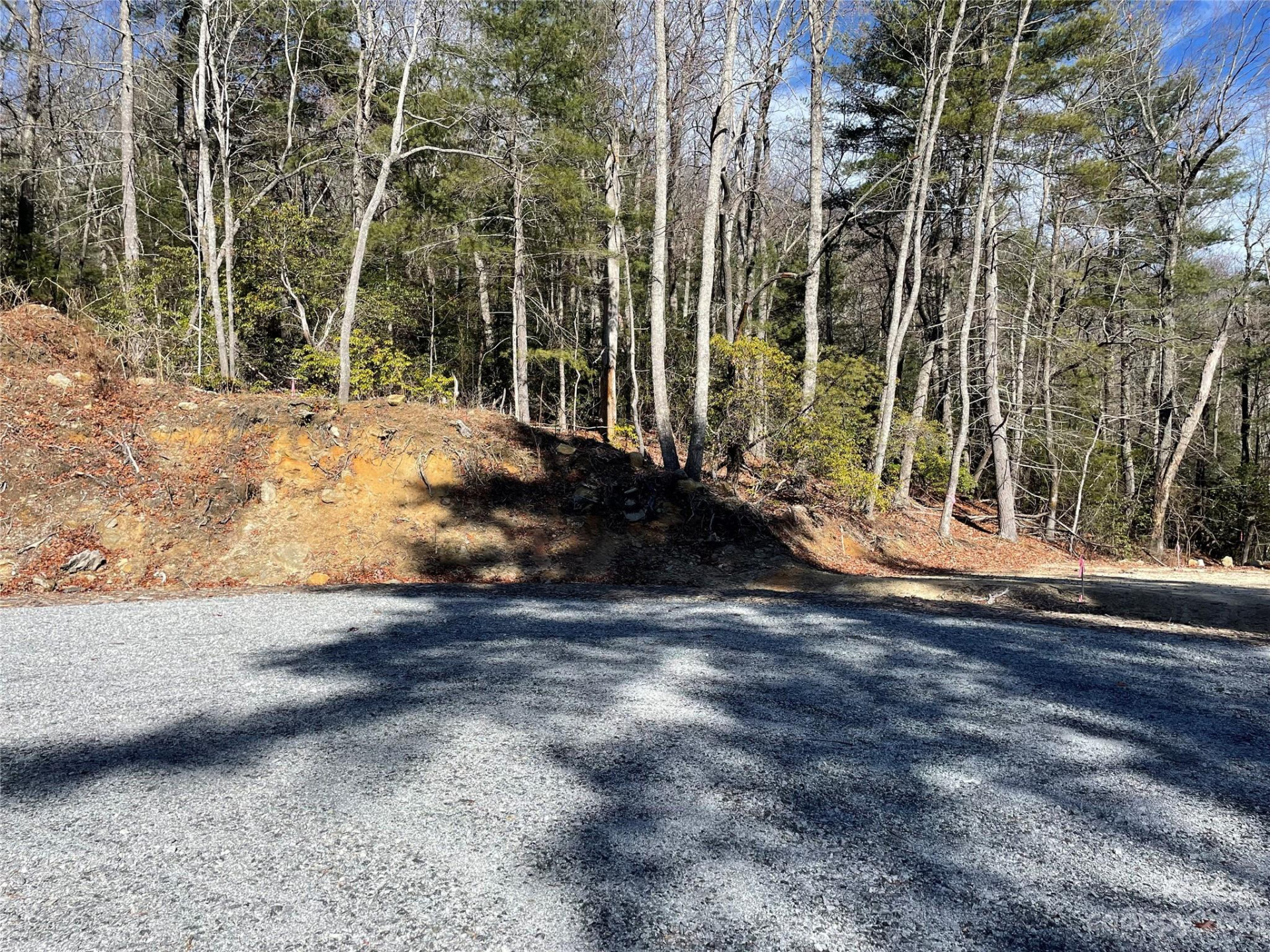 00 Willow Run Lane #16 - Photo 2