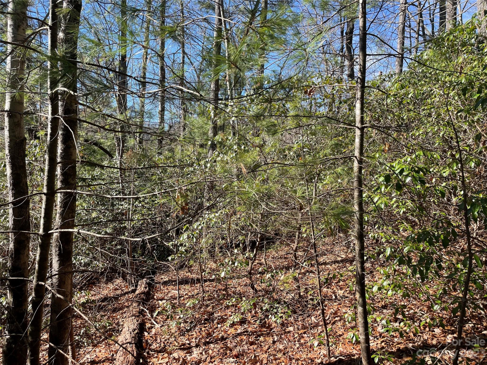 00 Willow Run Lane #16 - Photo 3