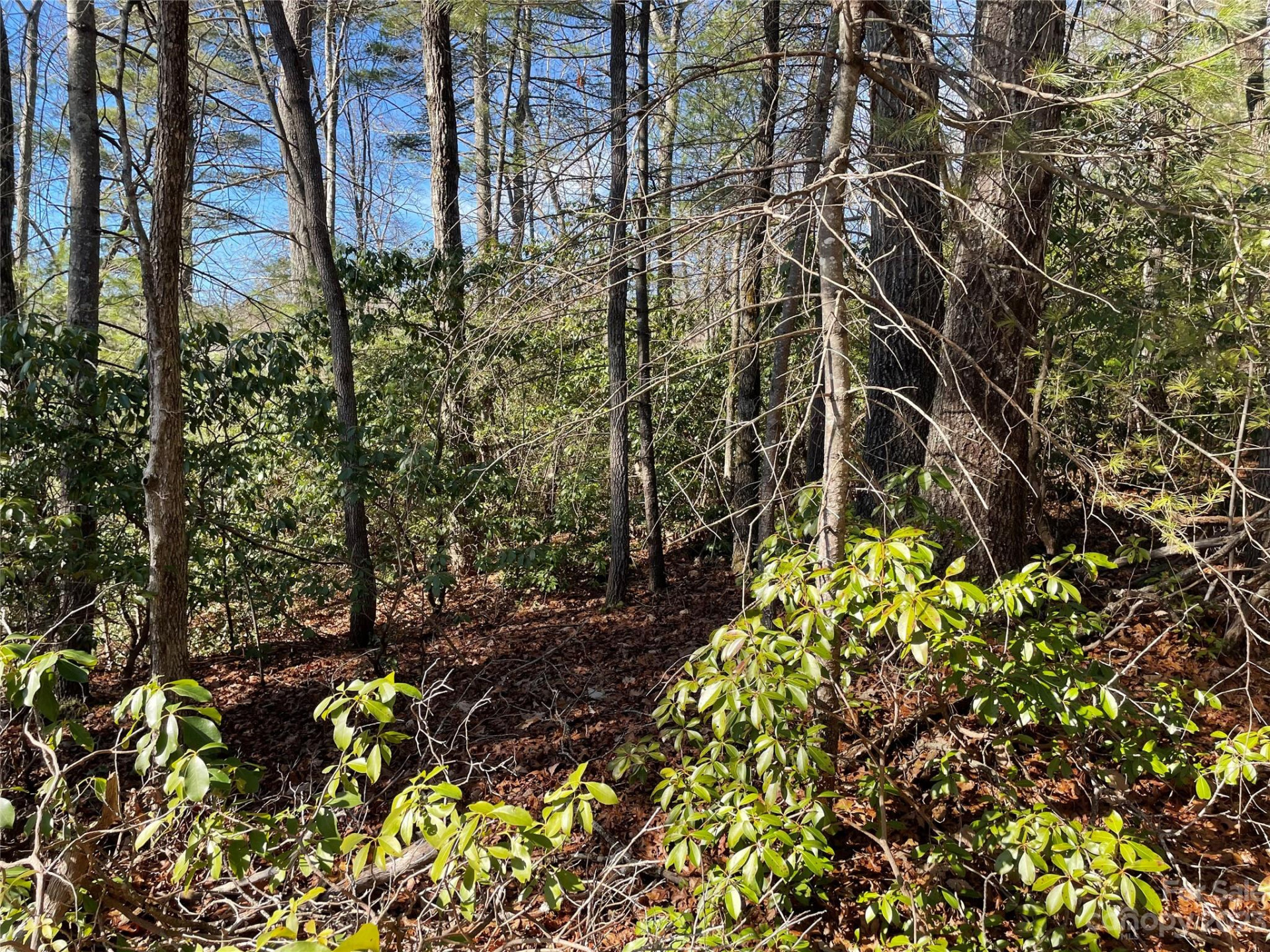 00 Willow Run Lane #16 - Photo 4