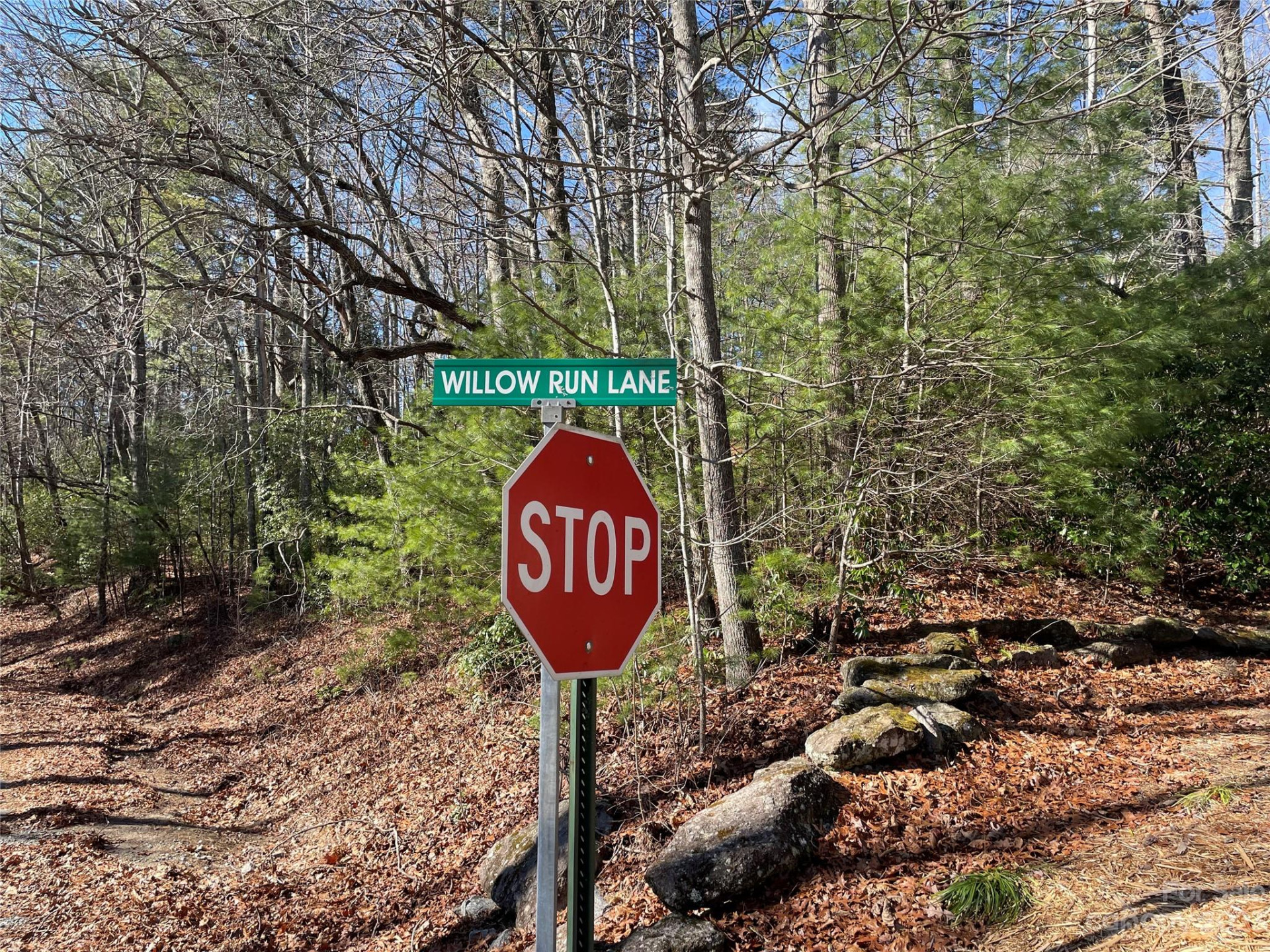 00 Willow Run Lane #16 - Photo 5