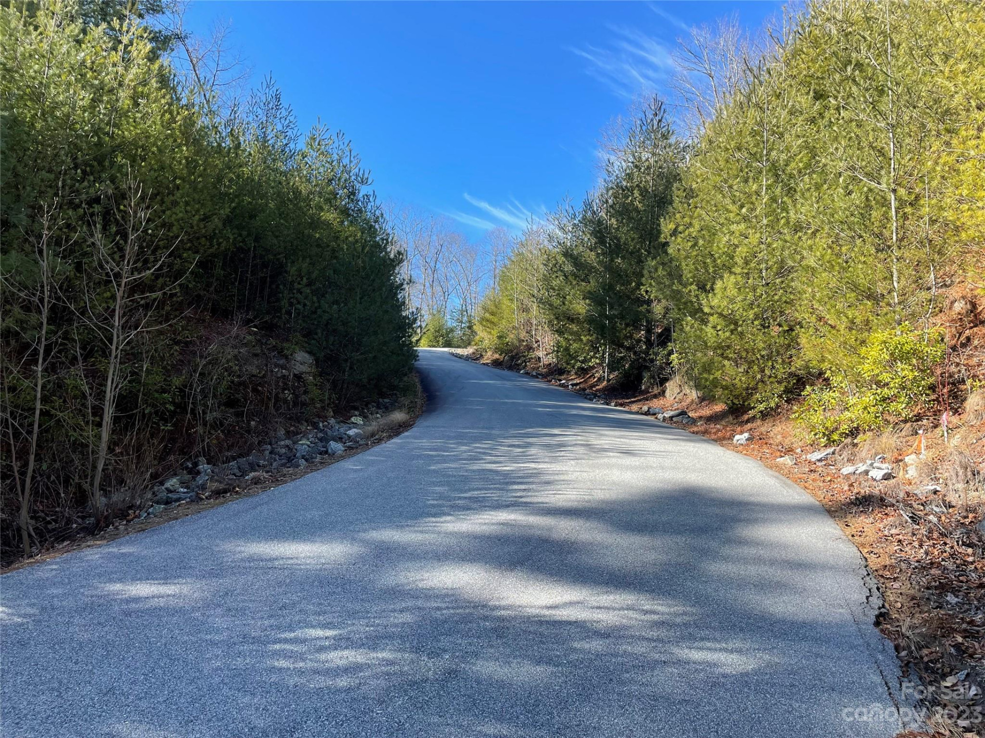 00 Willow Run Lane #16 - Photo 8