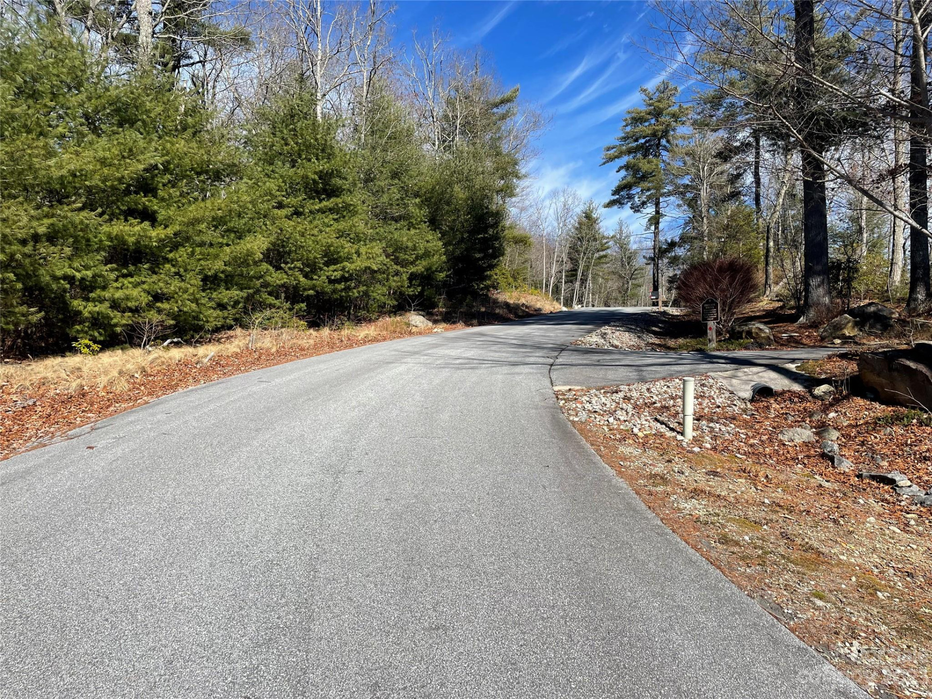 00 Willow Run Lane #16 - Photo 9