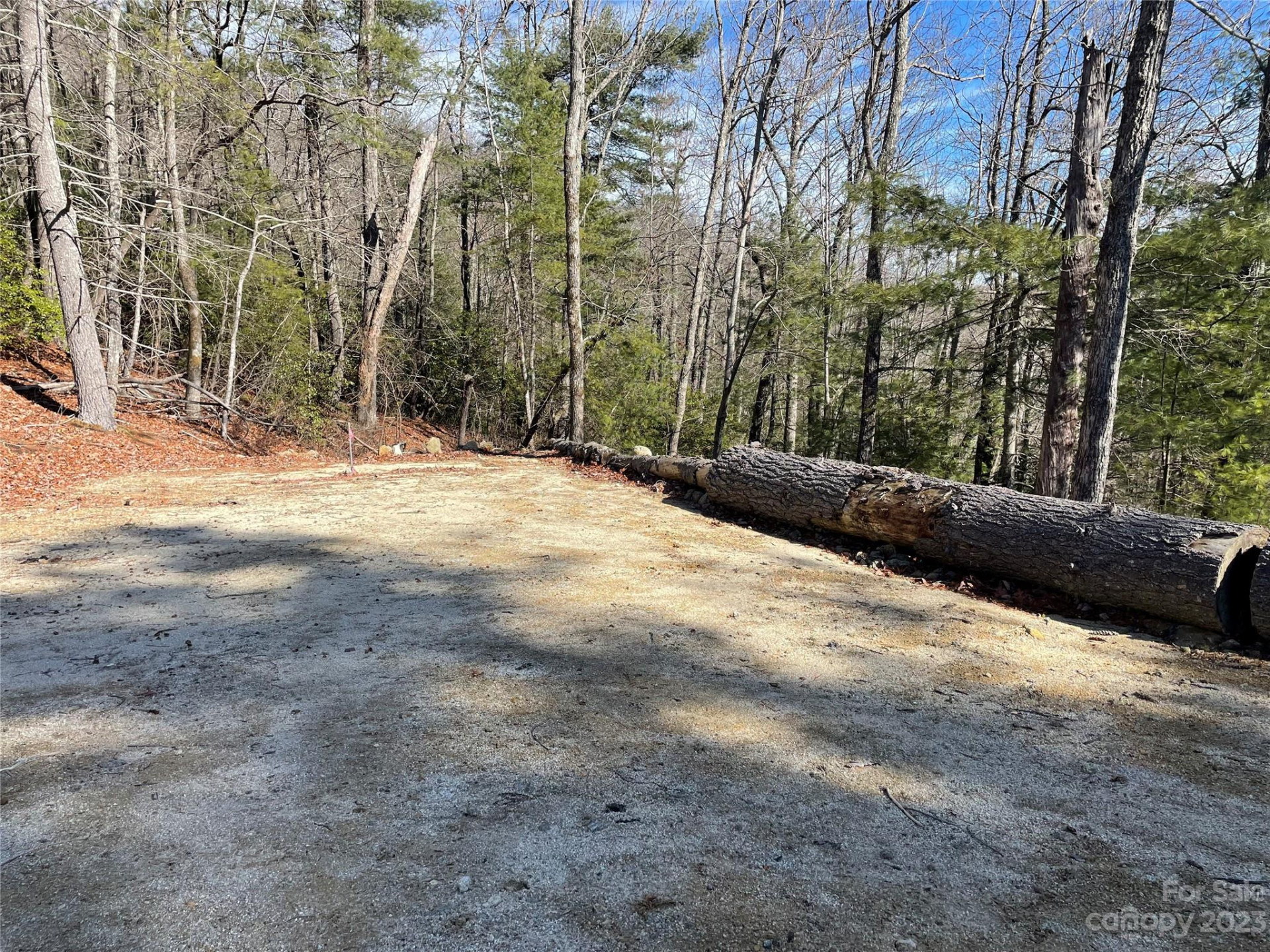 00 Willow Run Lane #15 - Photo 2