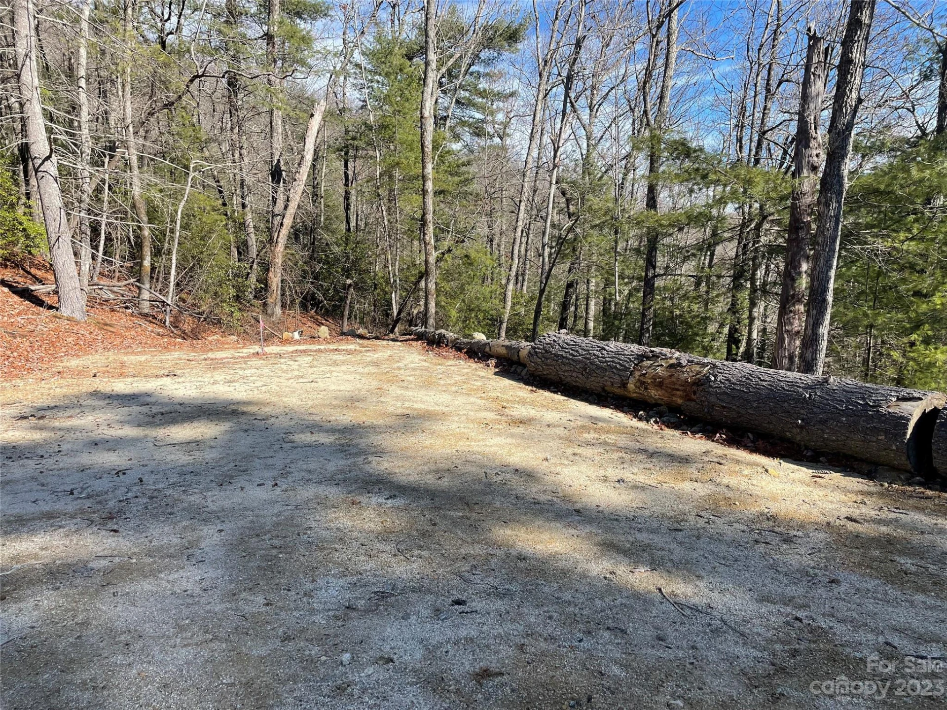 00 Willow Run Lane #15 - Photo 2