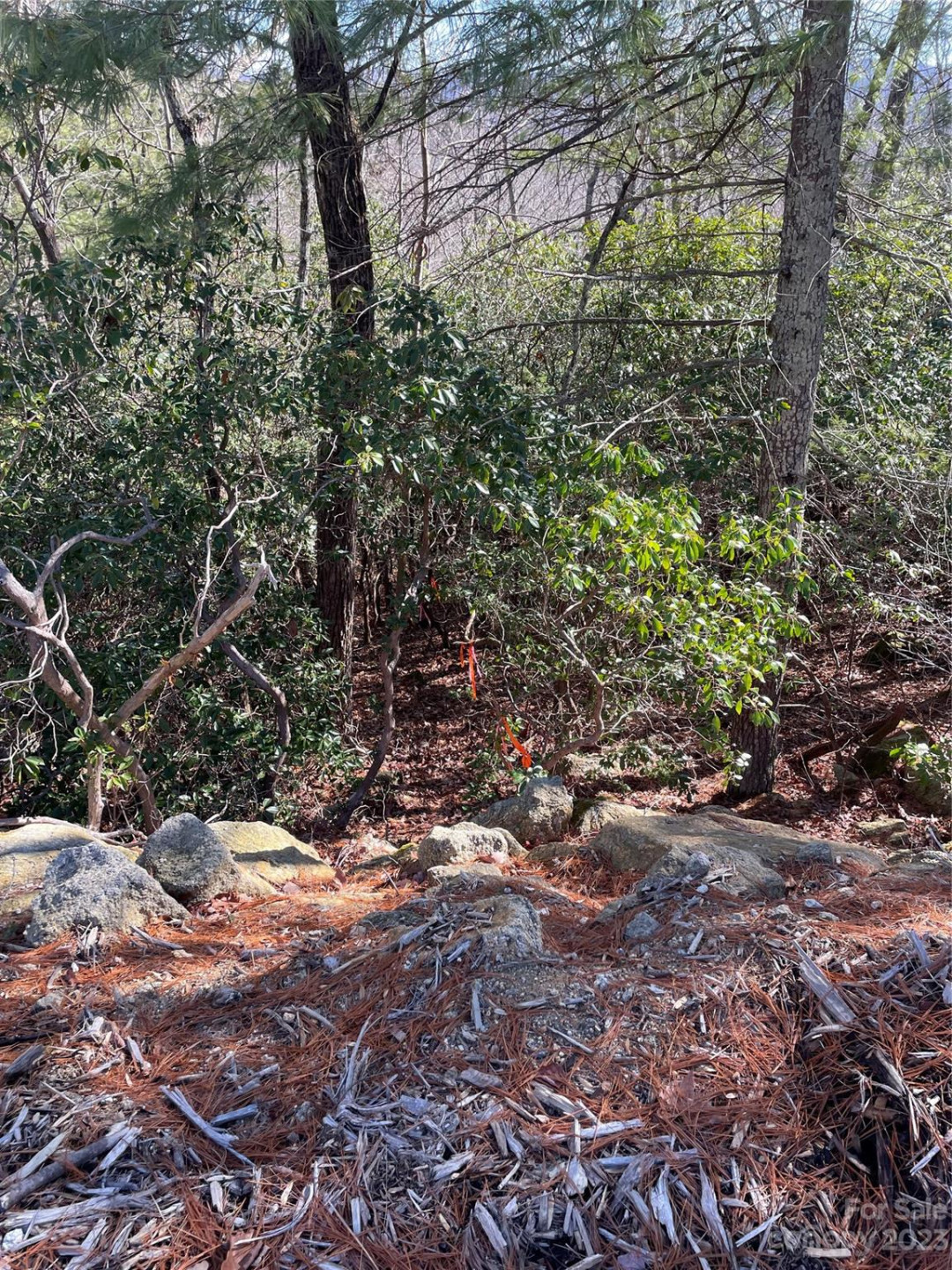 00 Willow Run Lane #15 - Photo 3