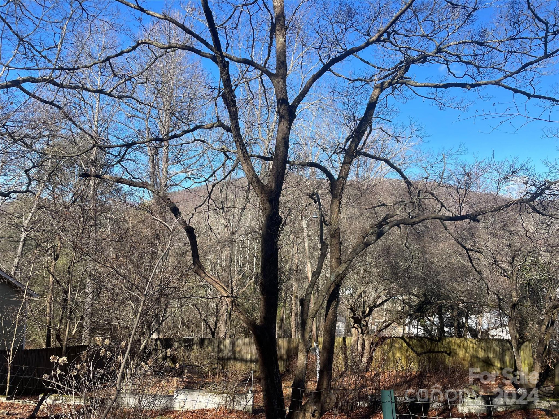 146 Center Street #9 & 10 - Photo 2