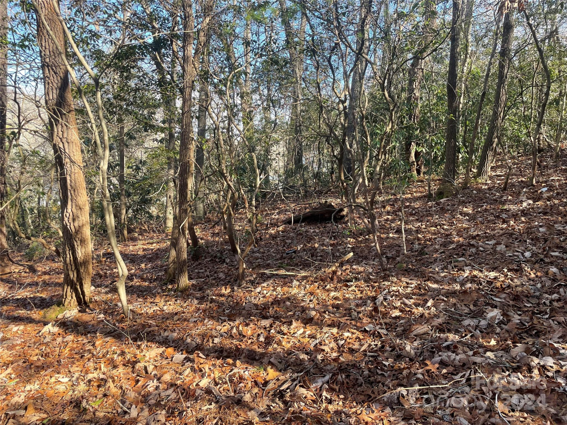 146 Center Street #9 & 10 - Photo 11