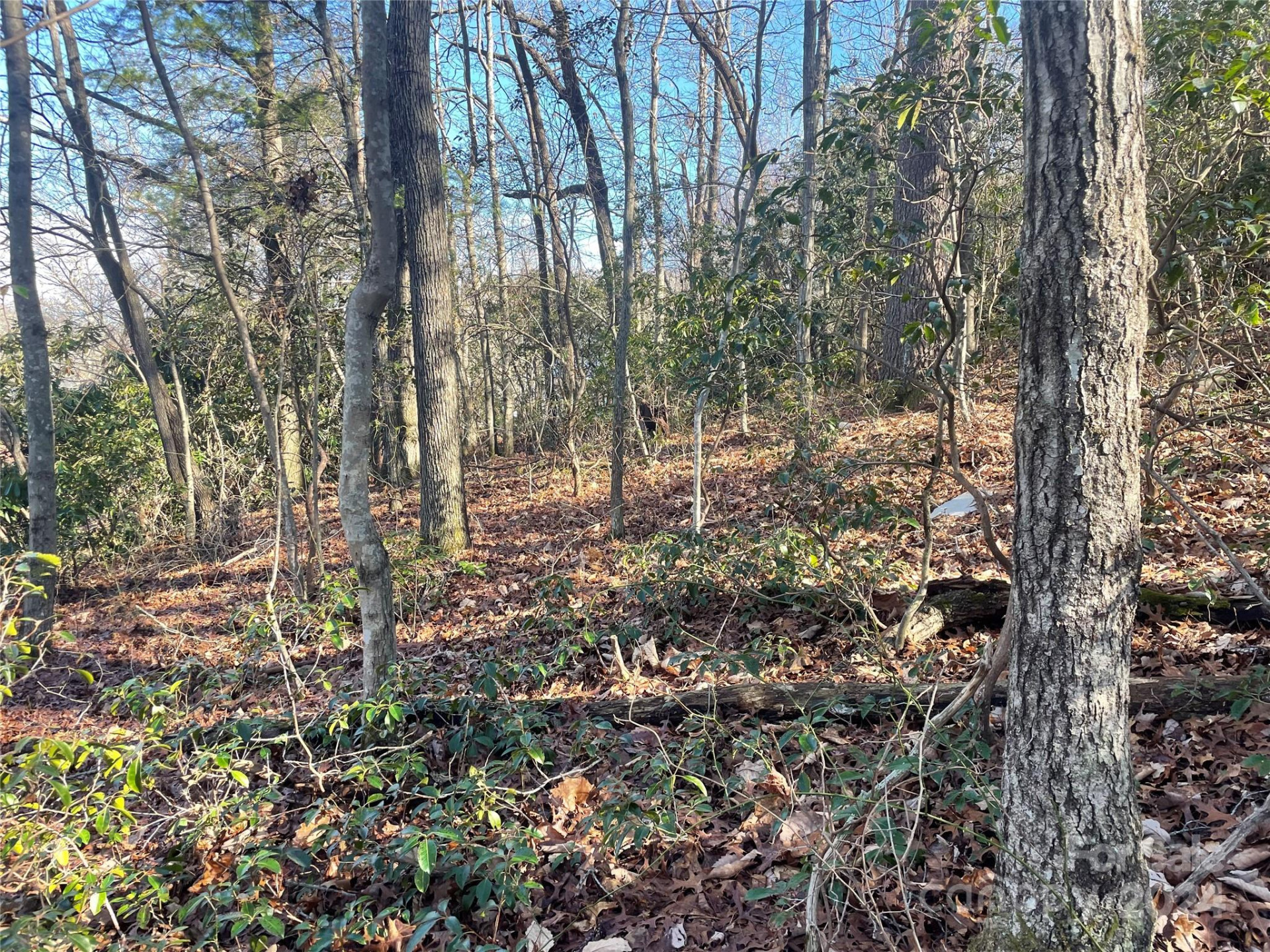 146 Center Street #9 & 10 - Photo 12