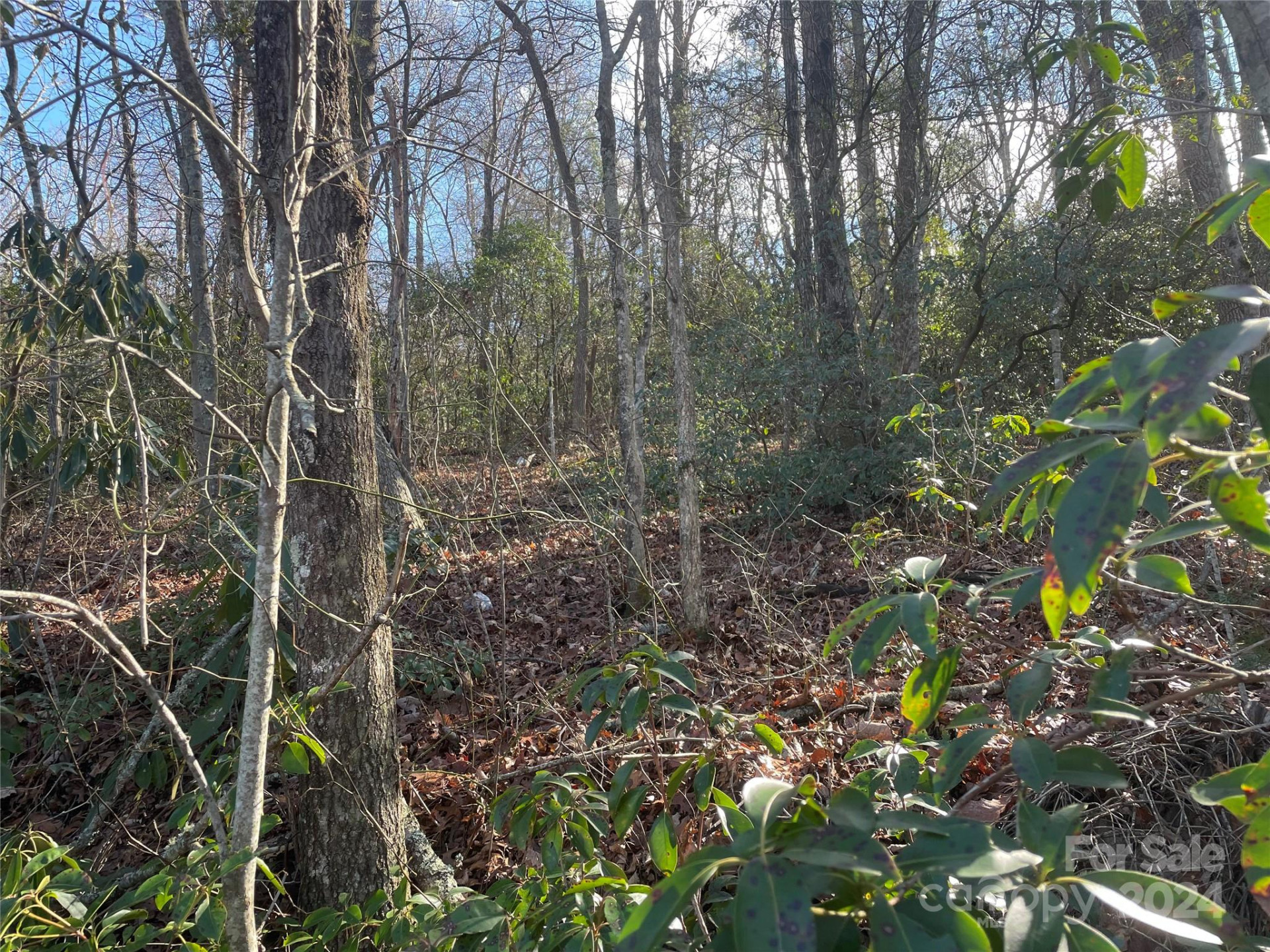 146 Center Street #9 & 10 - Photo 3